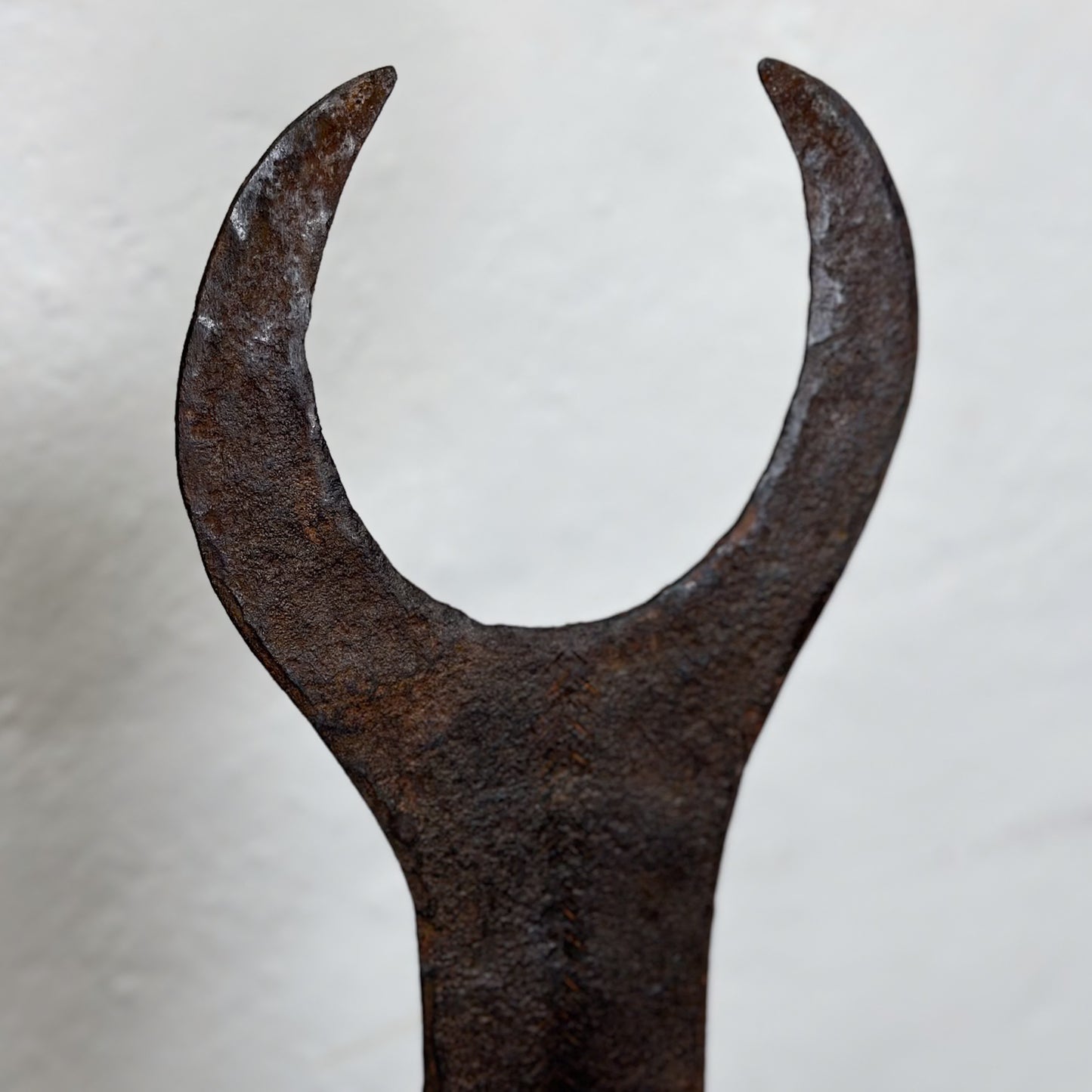 Old Bull Currency II - Democratic Republic of Congo