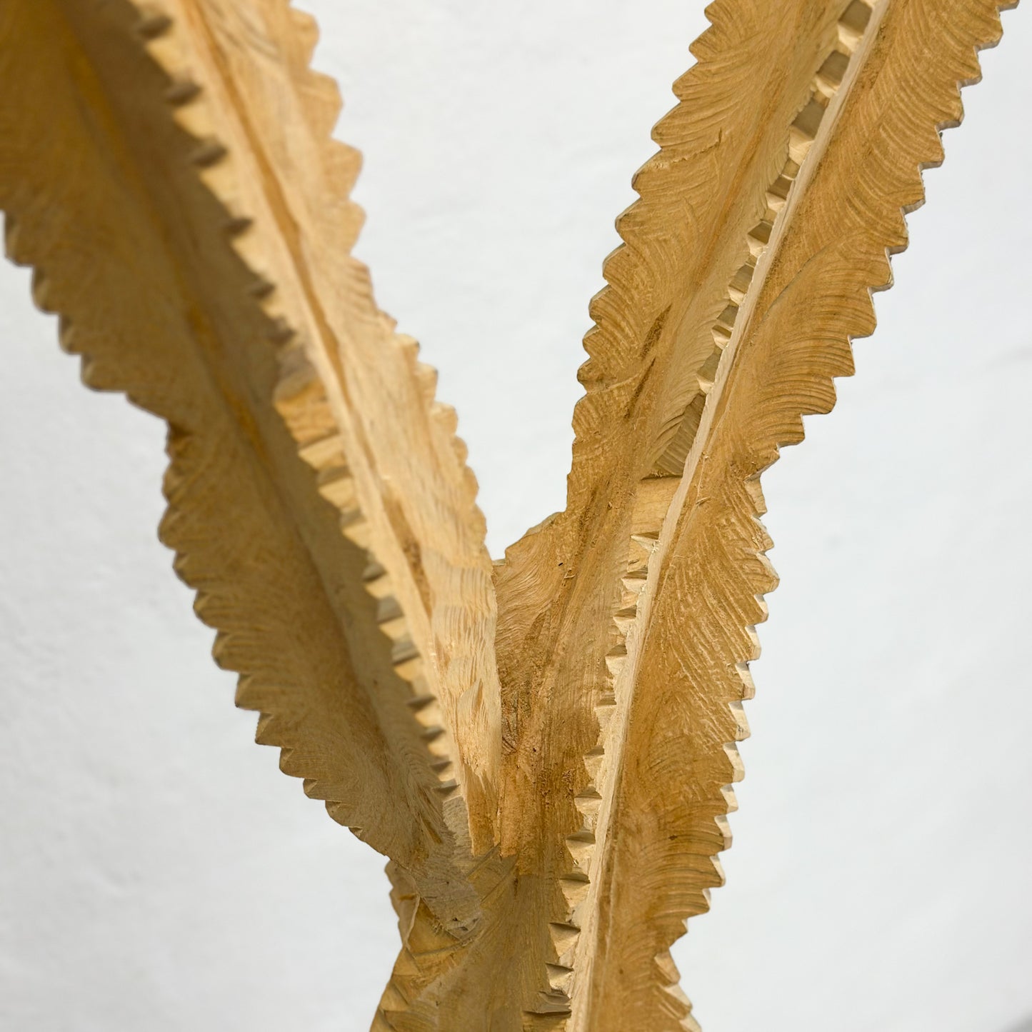 Swazi African Milk Tree III