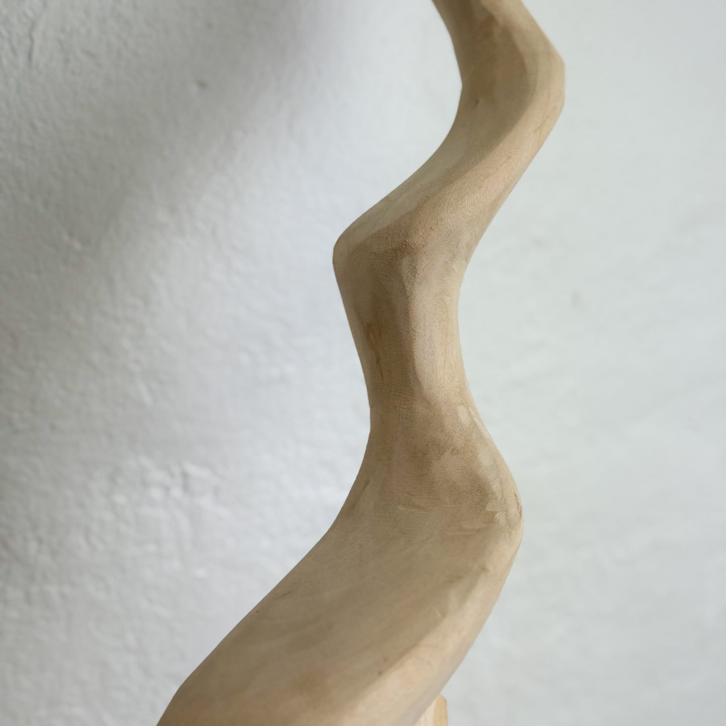 Large Swazi Kudu Head - Eswatini