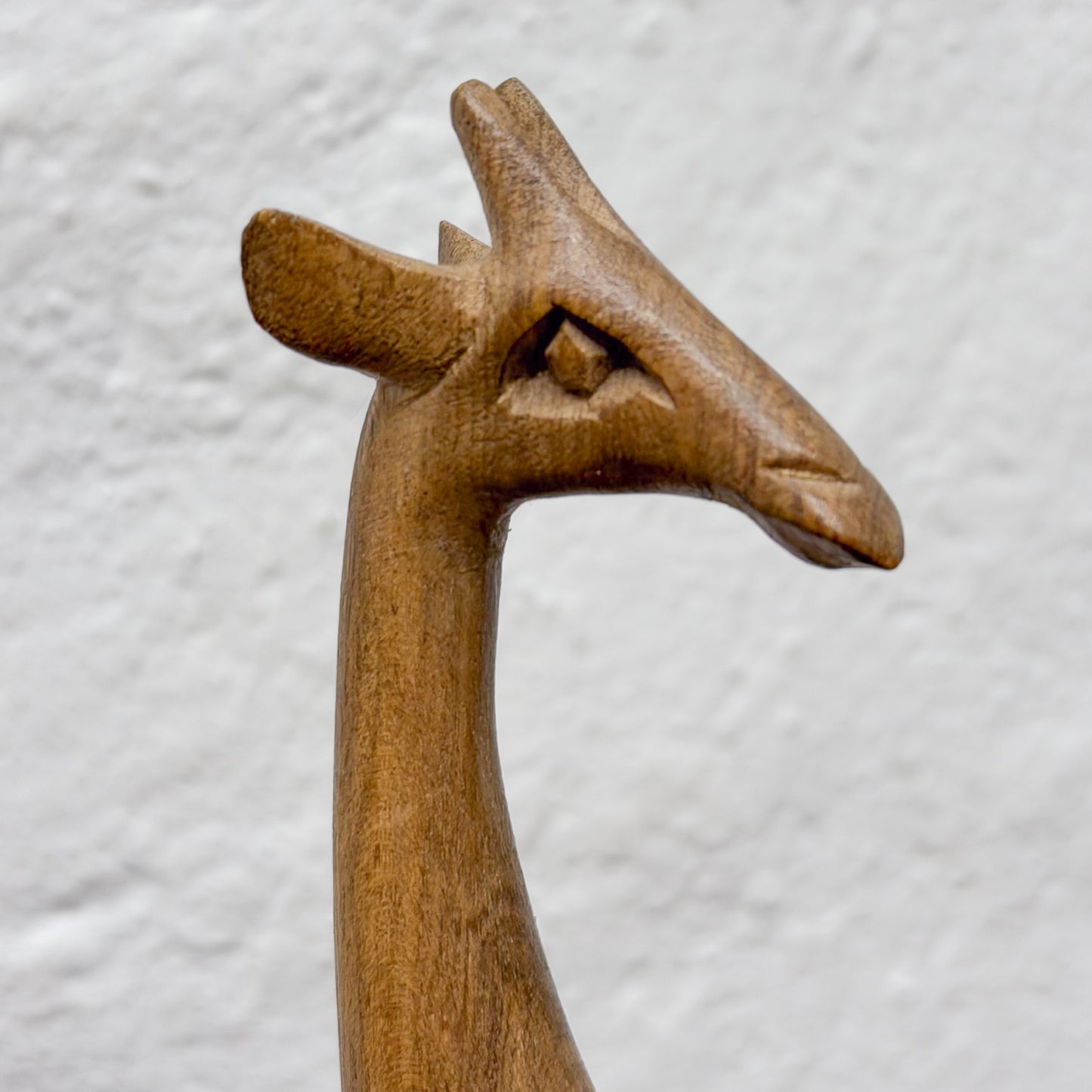 Giraffe - Small - Zimbabwe