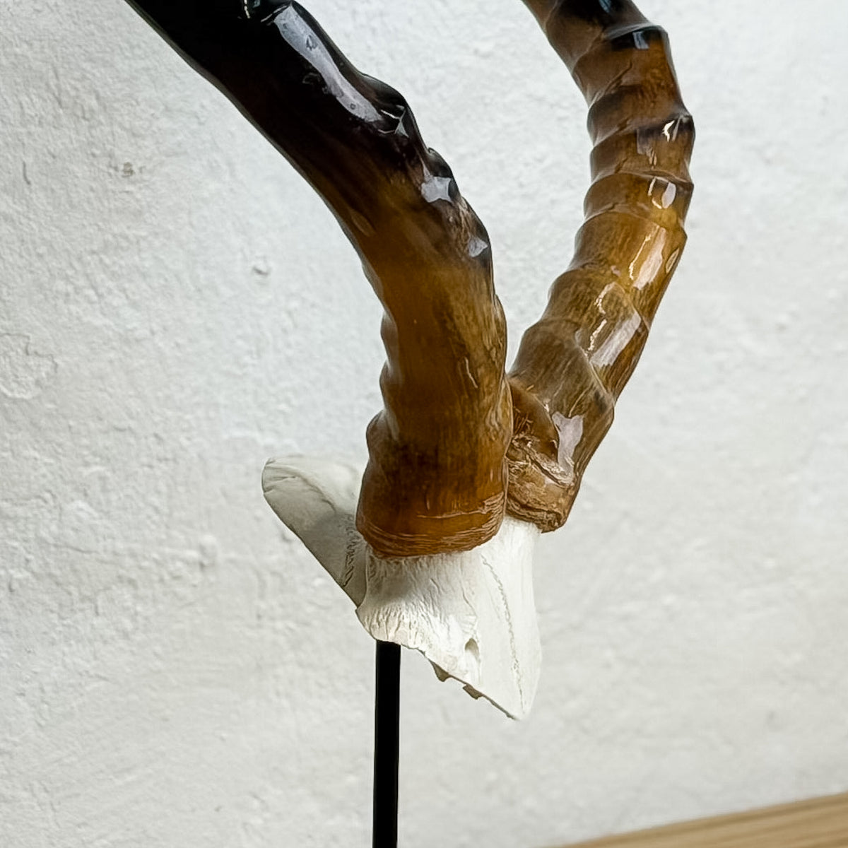 A close-up of a decorative horned sculpture or figurine with two glossy brown antler-like forms meeting at a white base, mounted on a thin black stand against a textured off-white wall.