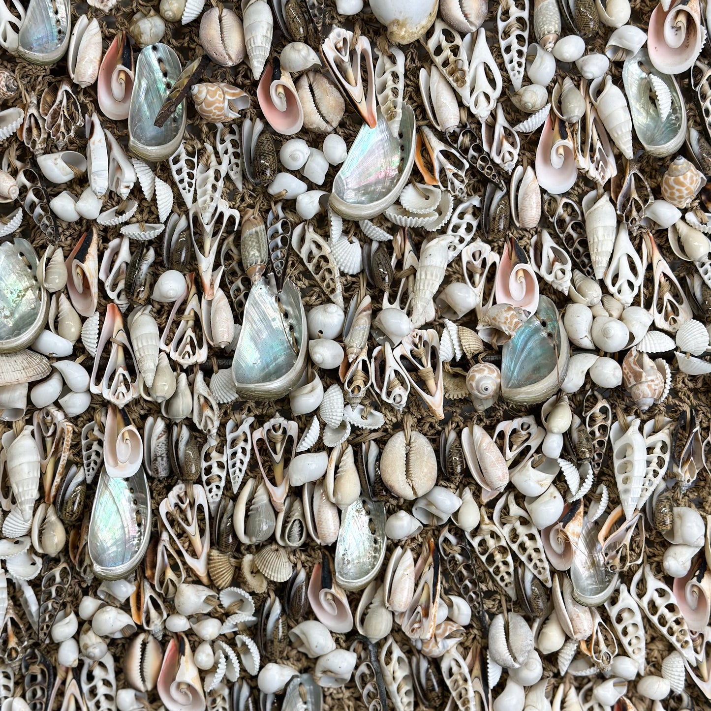 Shell Mural Wall Hanging
