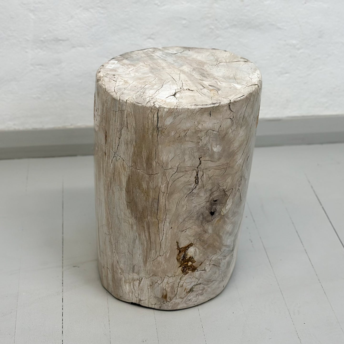 Petrified Wood Stool III