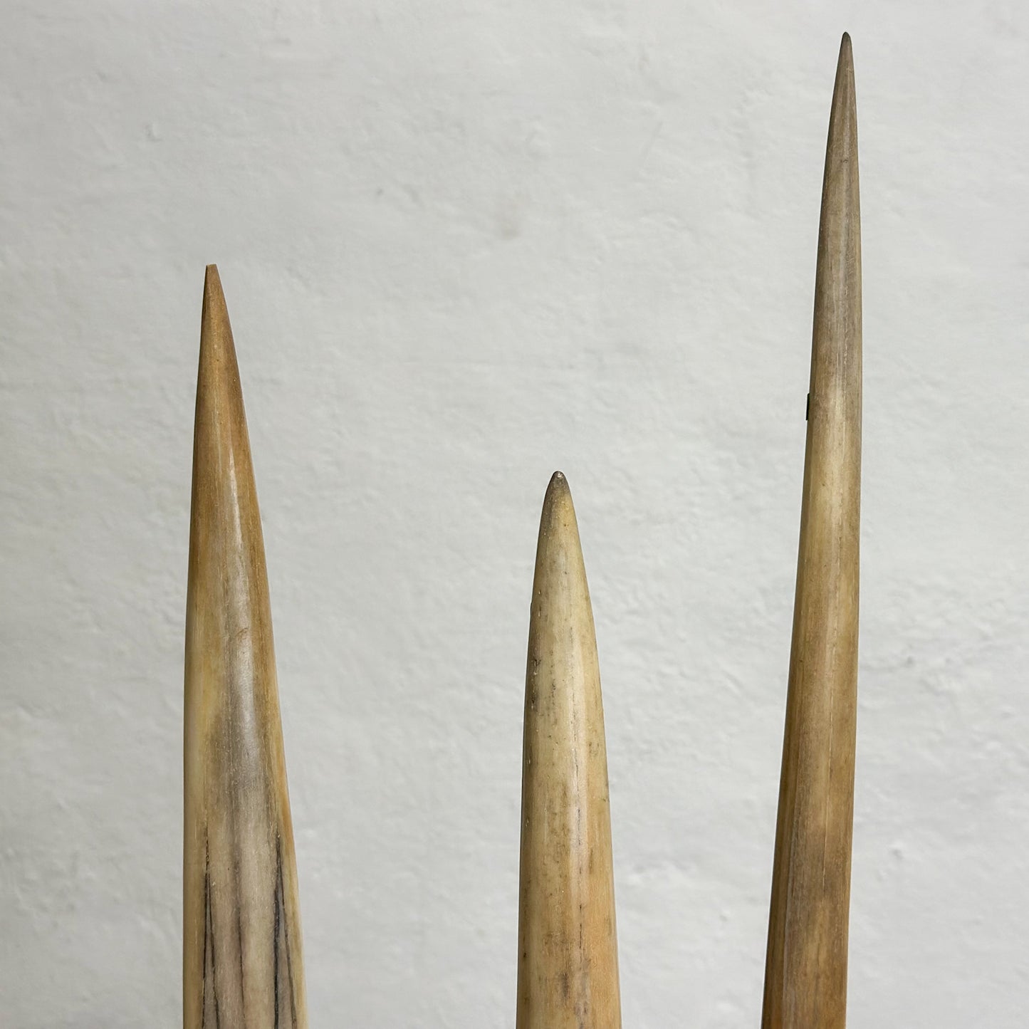 Large Marlin Bill on Stand