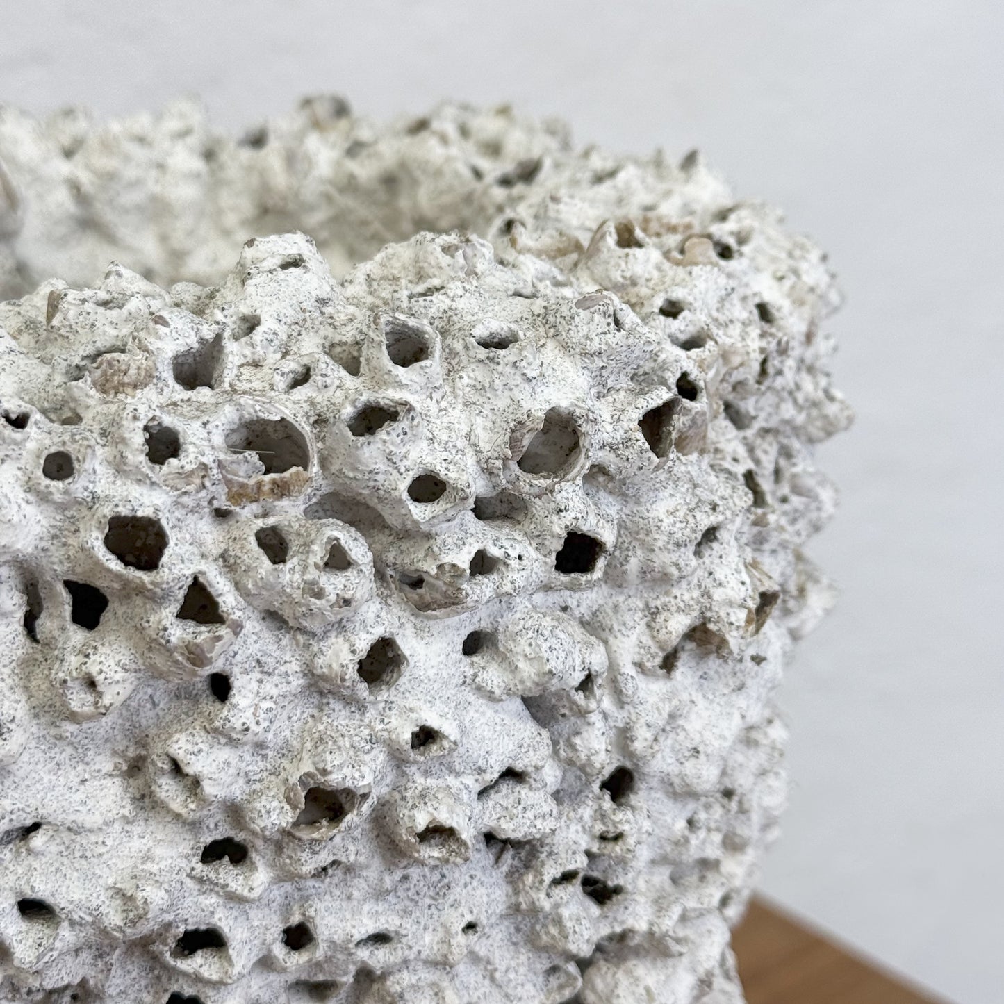 Pedestal Barnacle Pot