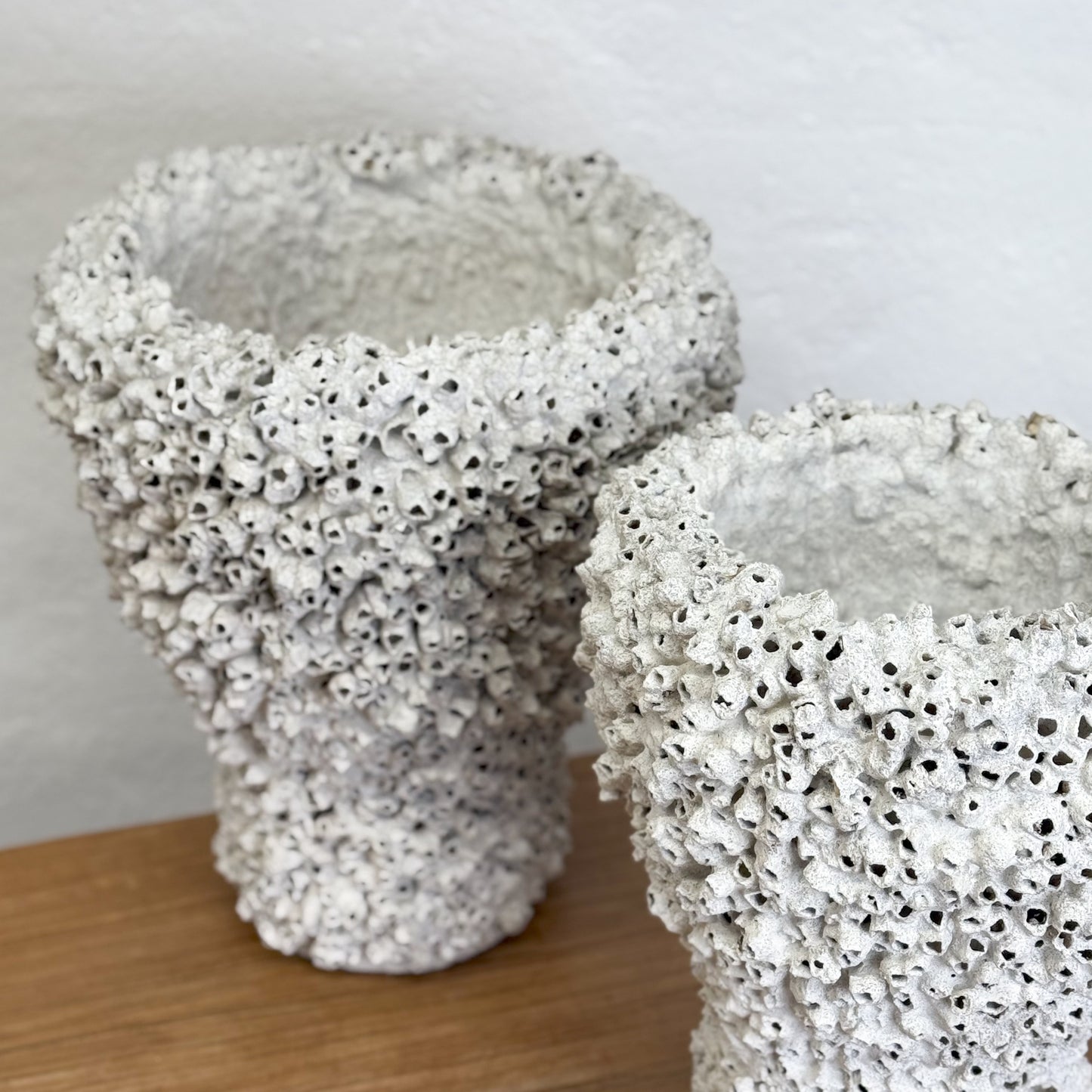 Pedestal Barnacle Pot