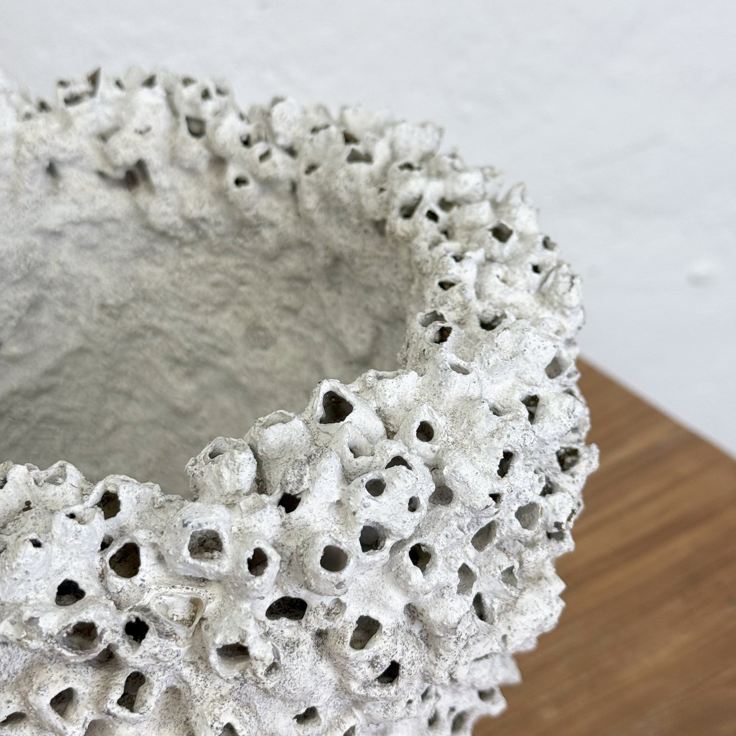 A beige ceramic pot with a textured barnacle-like pattern, placed on a wooden surface against a white wall.