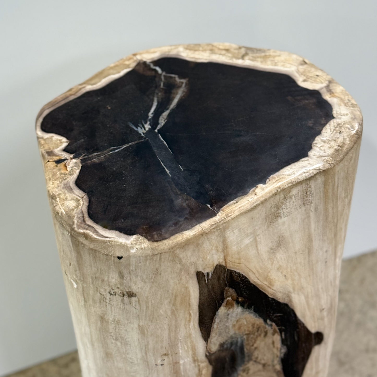 -Bali-Balinese-Indonesia-Petrified-Wood-Stool-Fossil-Wood-Stone-Side-Table