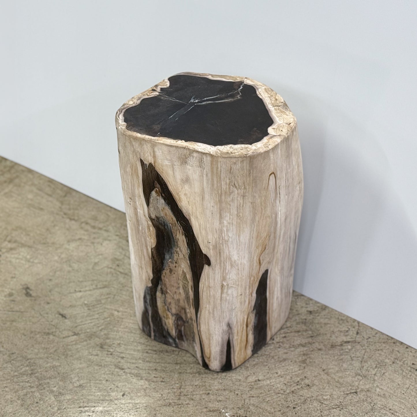 -Bali-Balinese-Indonesia-Petrified-Wood-Stool-Fossil-Wood-Stone-Side-Table