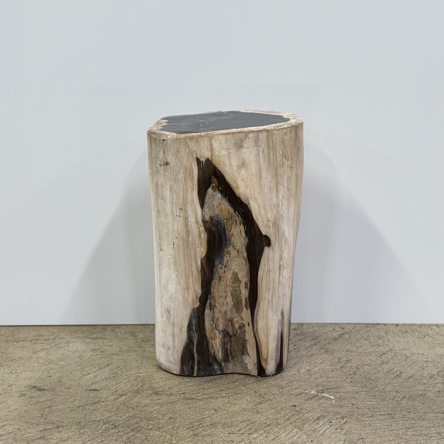 -Bali-Balinese-Indonesia-Petrified-Wood-Stool-Fossil-Wood-Stone-Side-Table