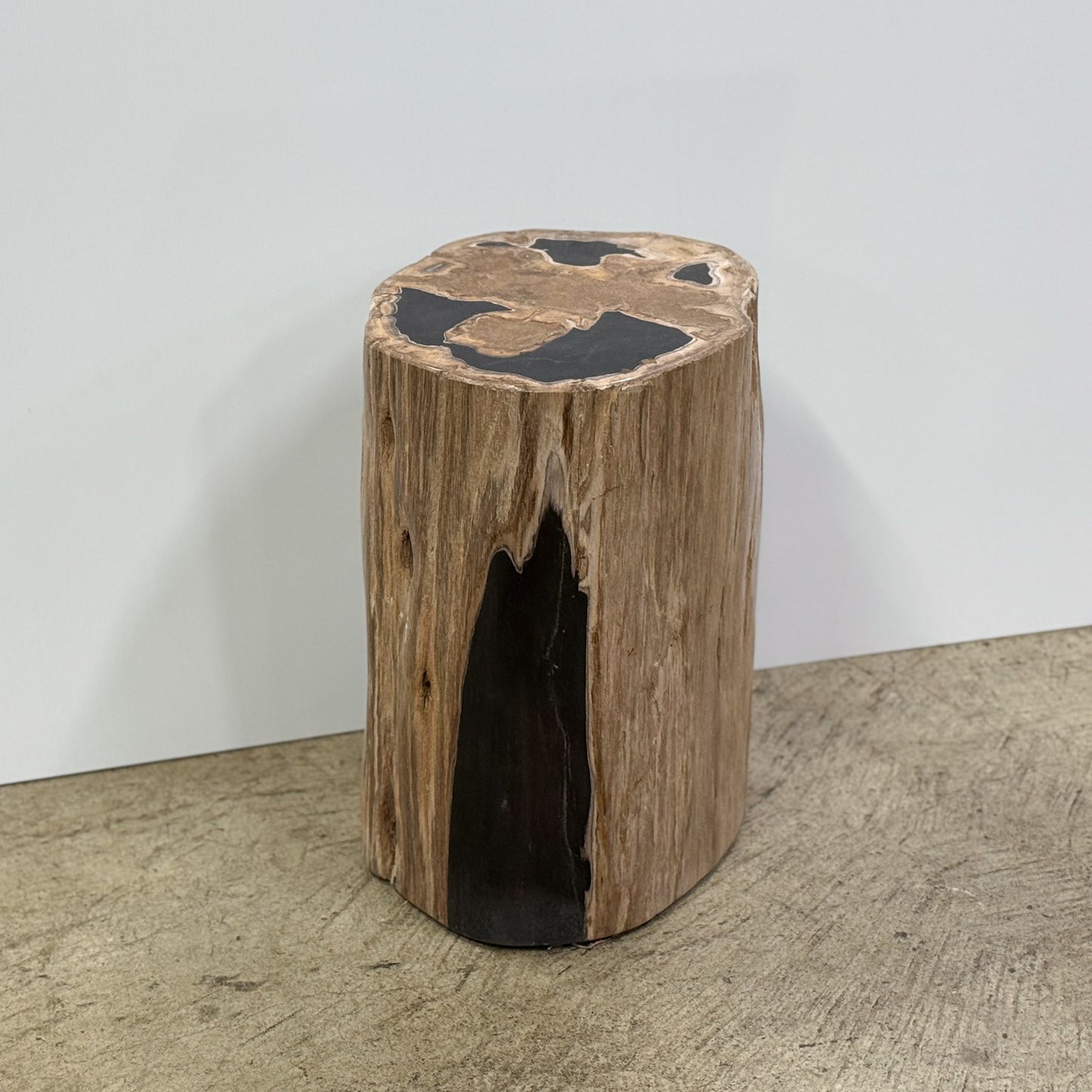 -Bali-Balinese-Indonesia-Petrified-Wood-Stool-Fossil-Wood-Stone-Side-Table