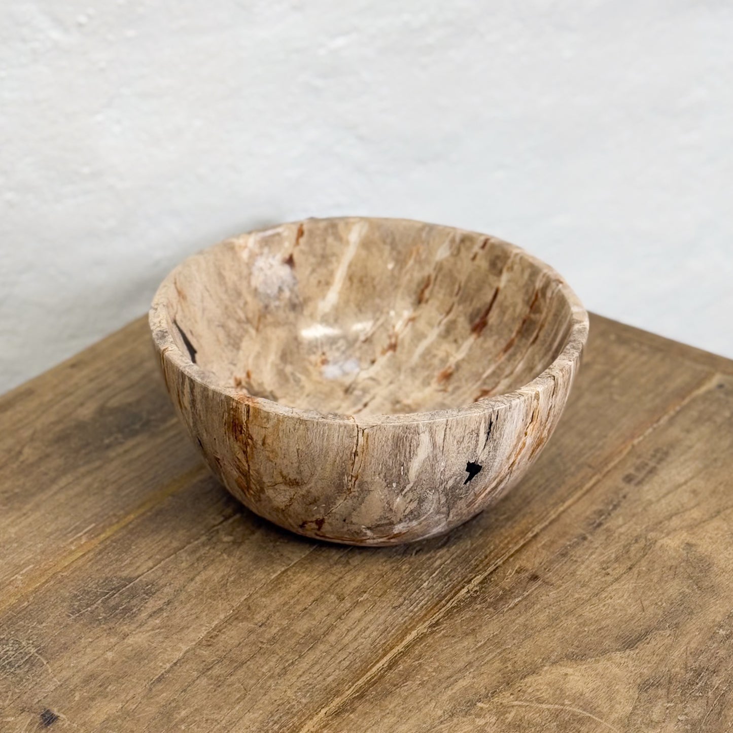 Petrified Wood Bowl III
