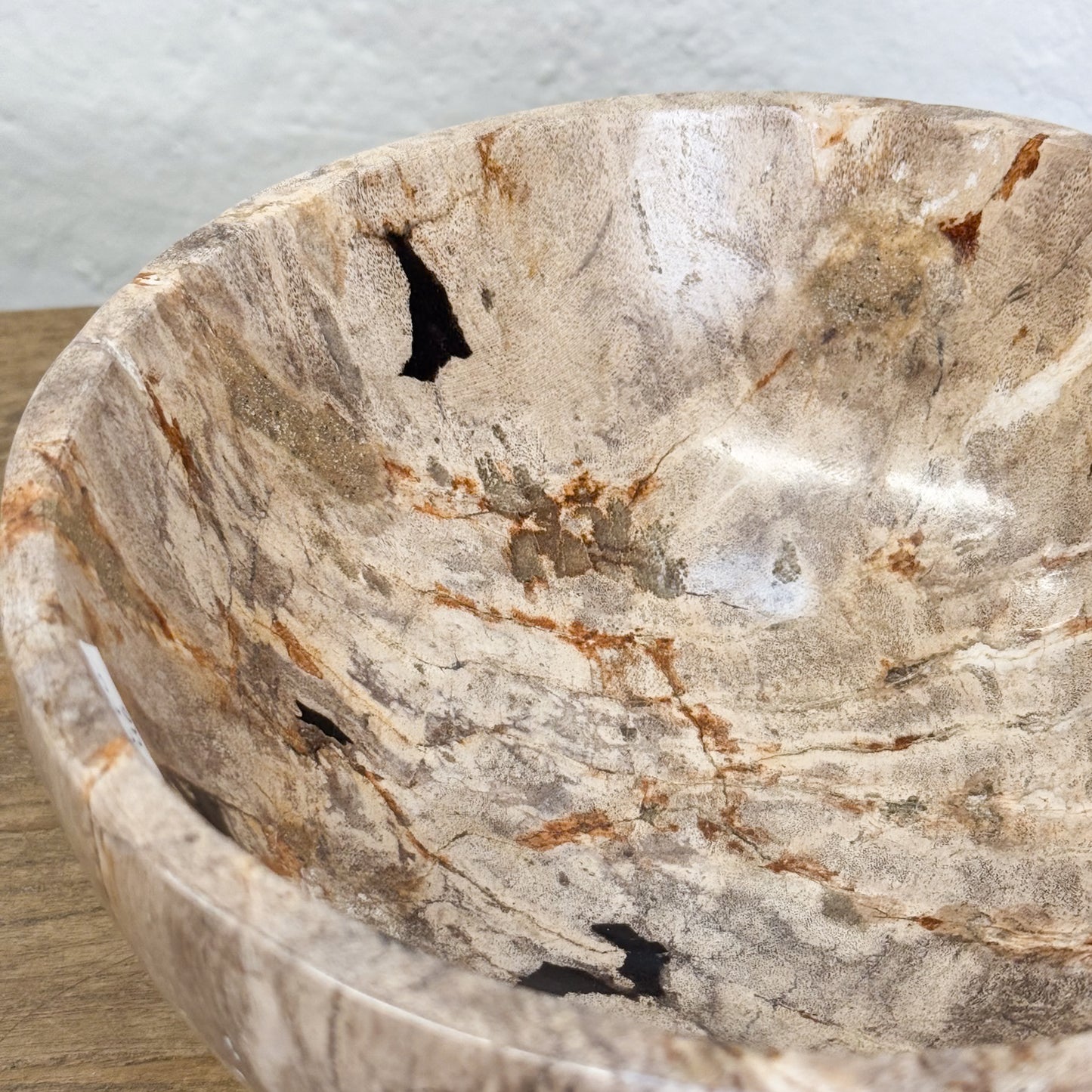 Petrified Wood Bowl III