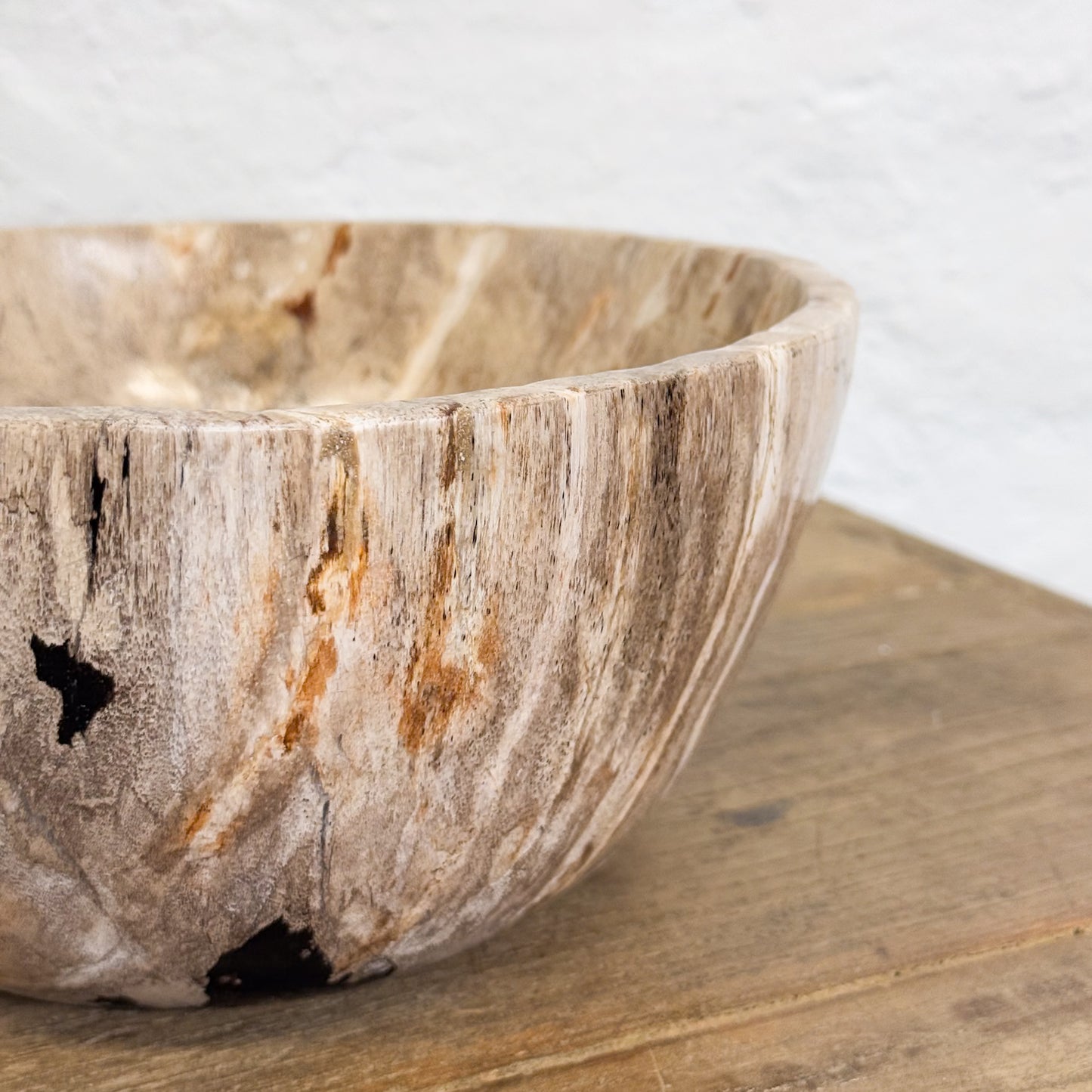 Petrified Wood Bowl III