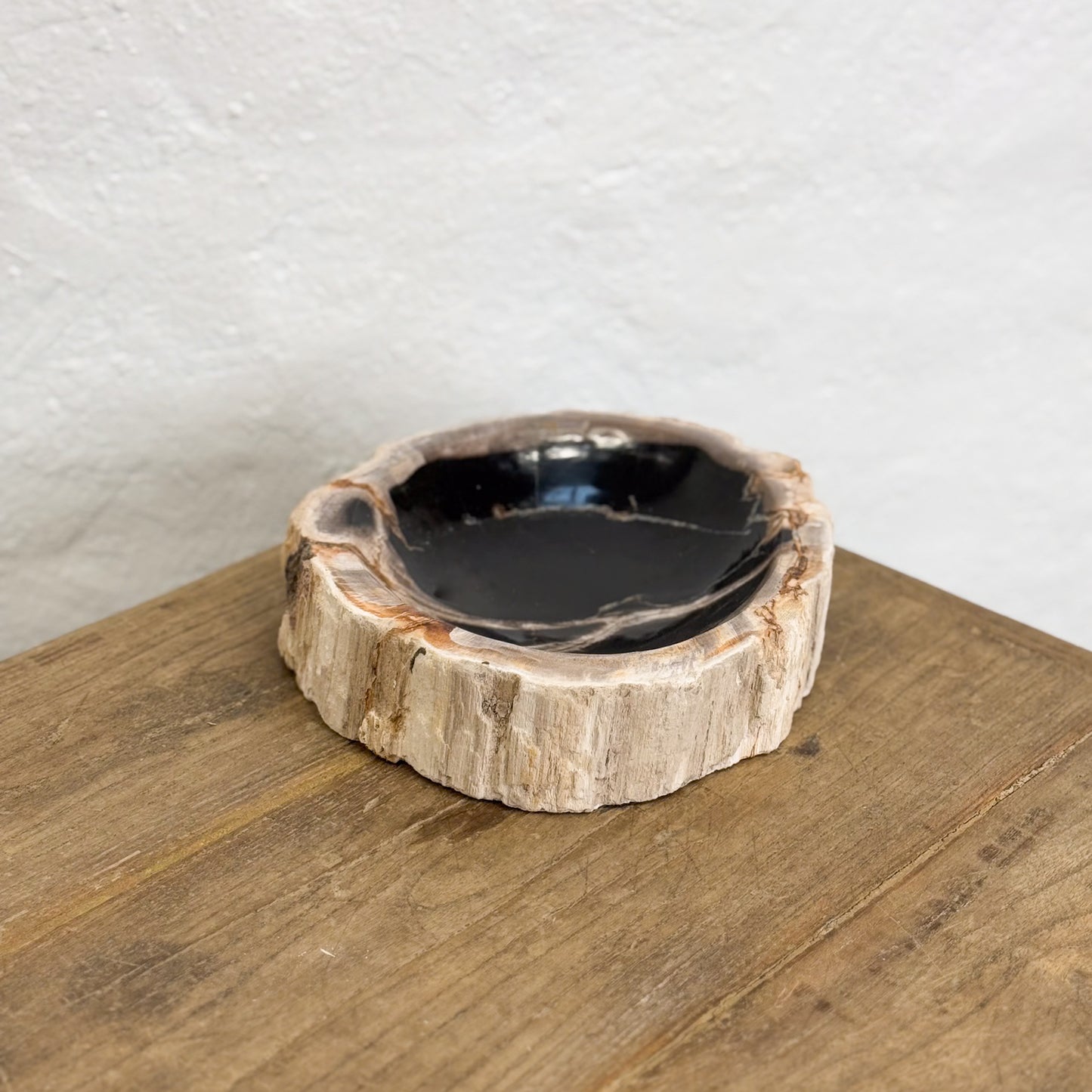 Petrified Wood Dish I