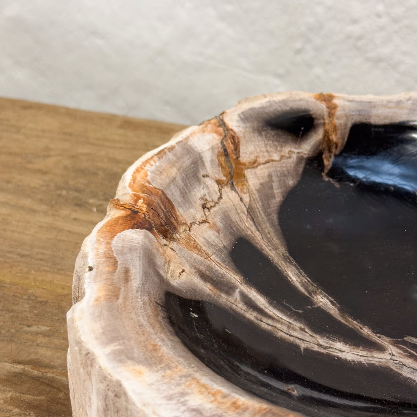 Petrified Wood Dish I