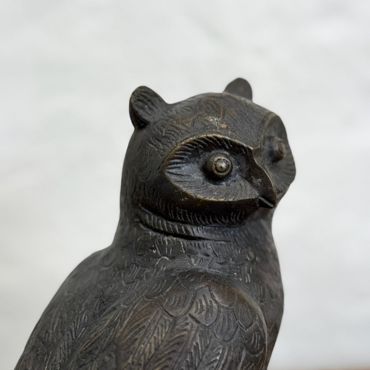 Bronze Owl