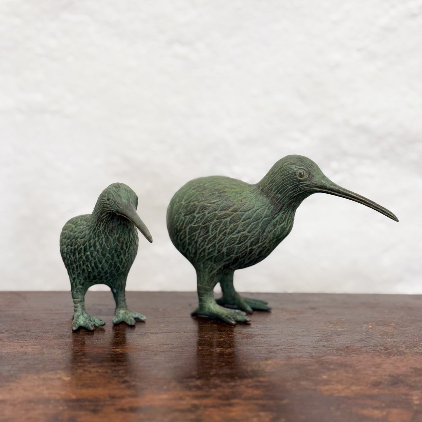 Bronze Kiwi