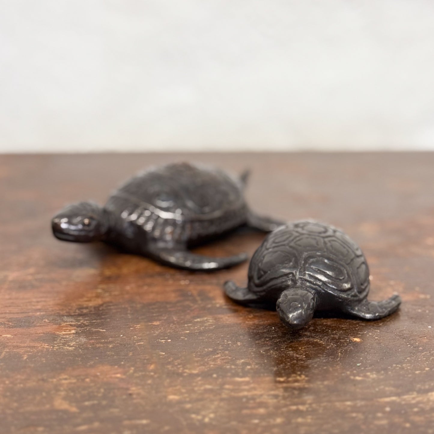 Bronze Turtle