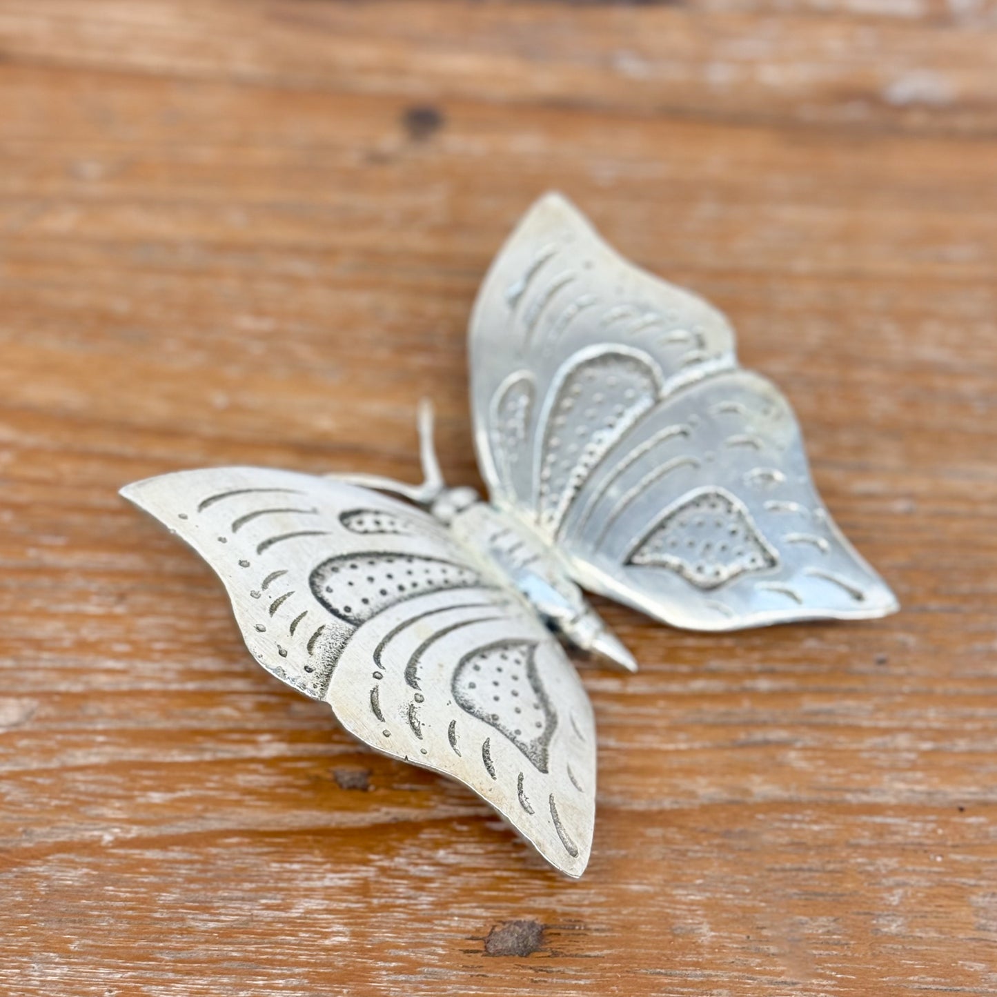 Bronze Butterfly
