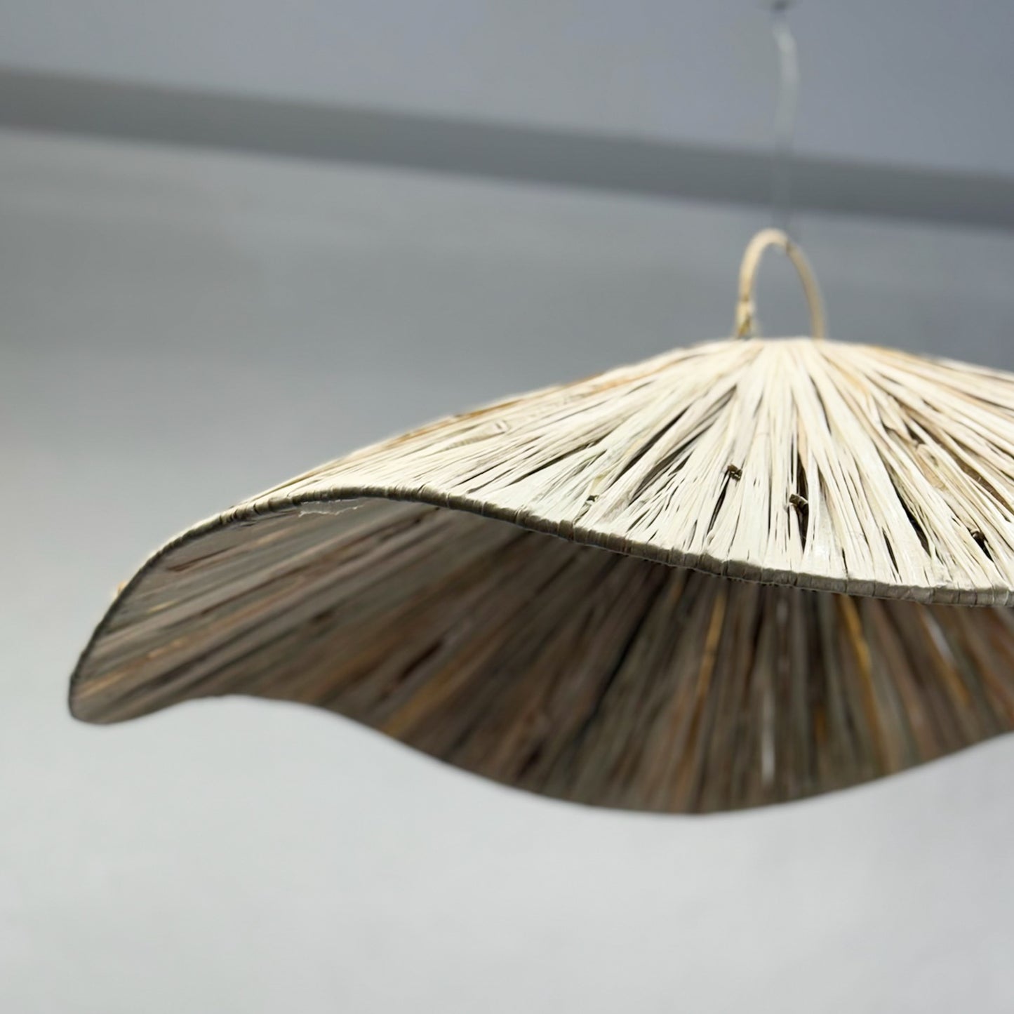 Seagrass Wave Light