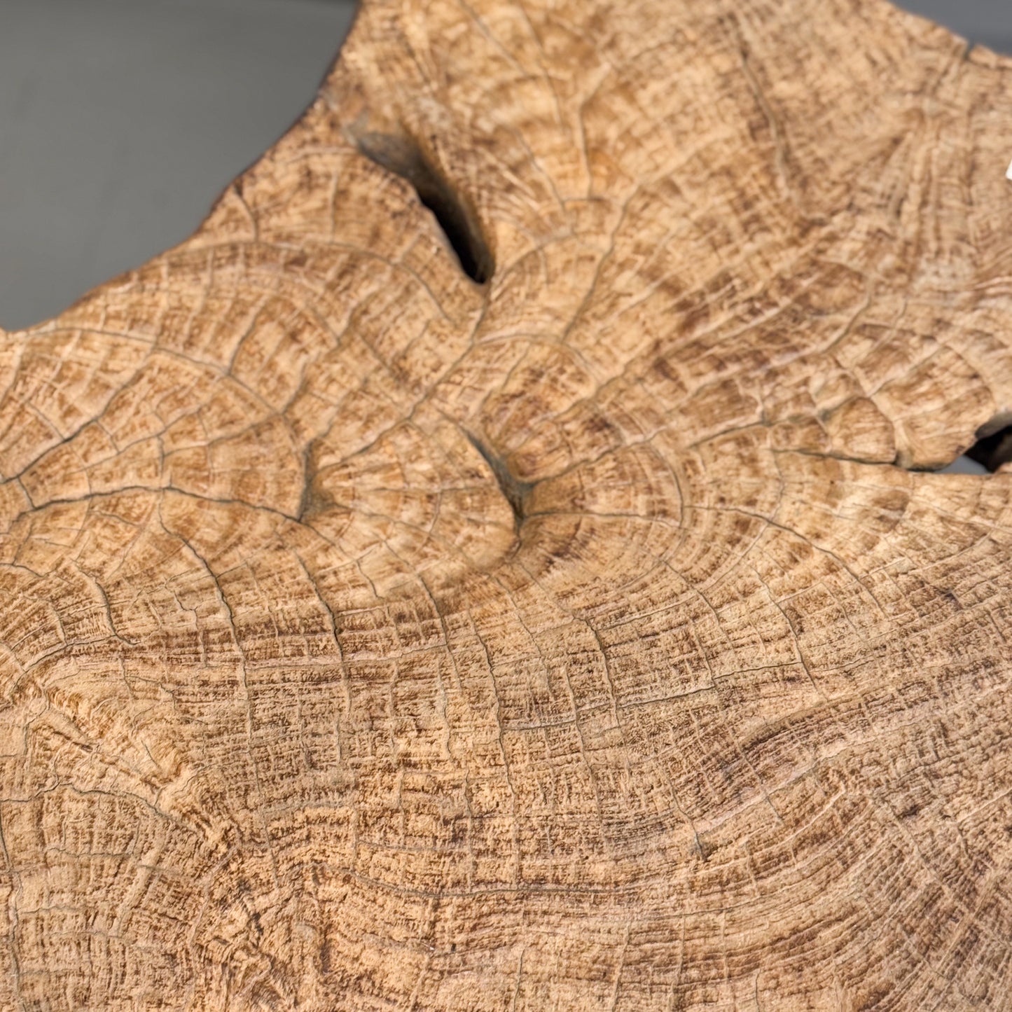 Root Slice Side Table