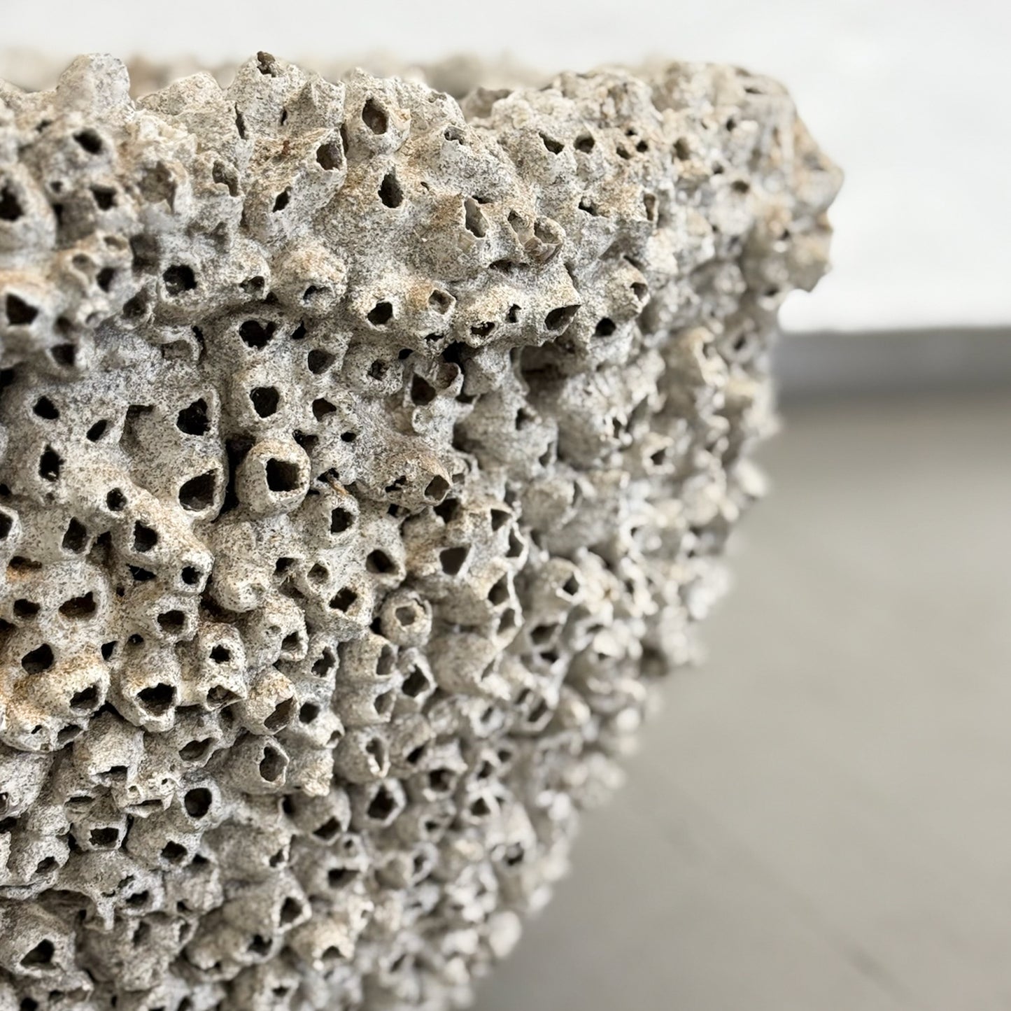 This image features the Large Barnacle Bowl, a striking decorative piece notable for its significant size and textured surface. The bowl mimics the appearance of barnacle附着,giving it a rugged, natural look.