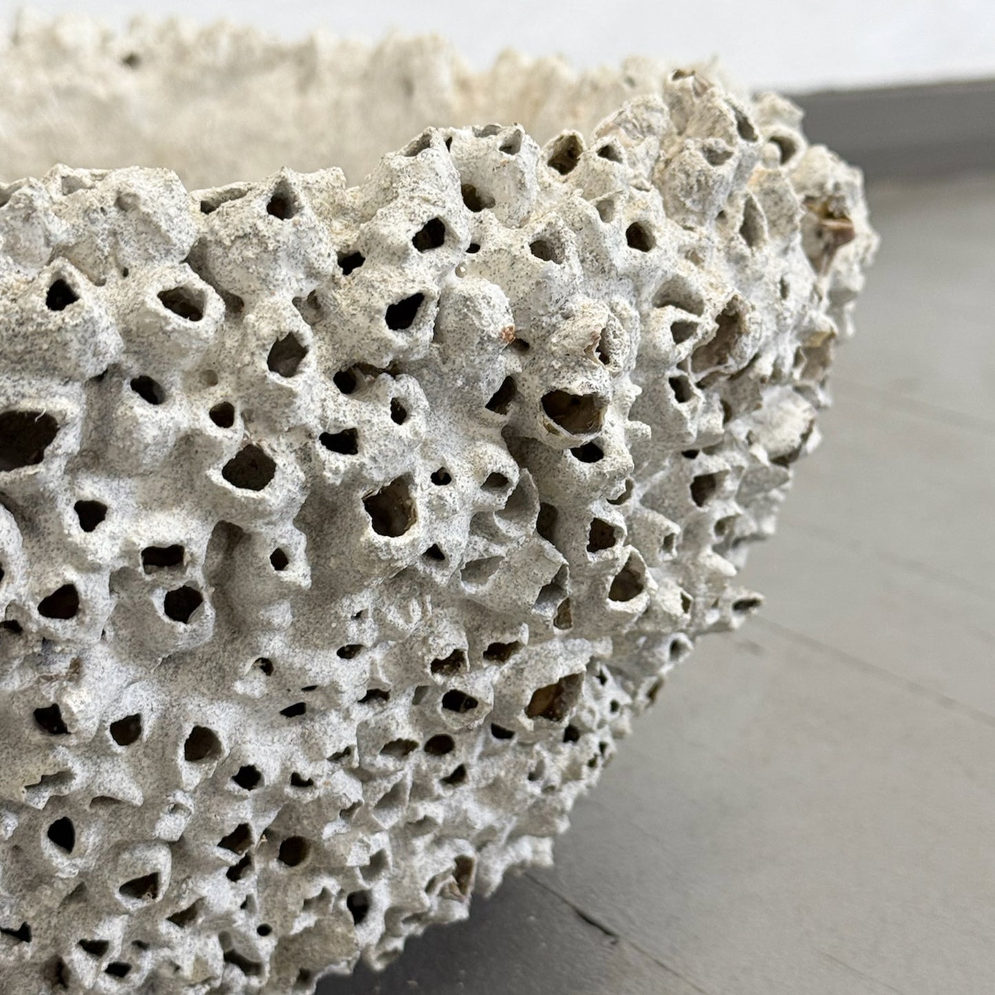 A shallow white bowl with a barnacle-like texture on the surface, displayed against a neutral background.
