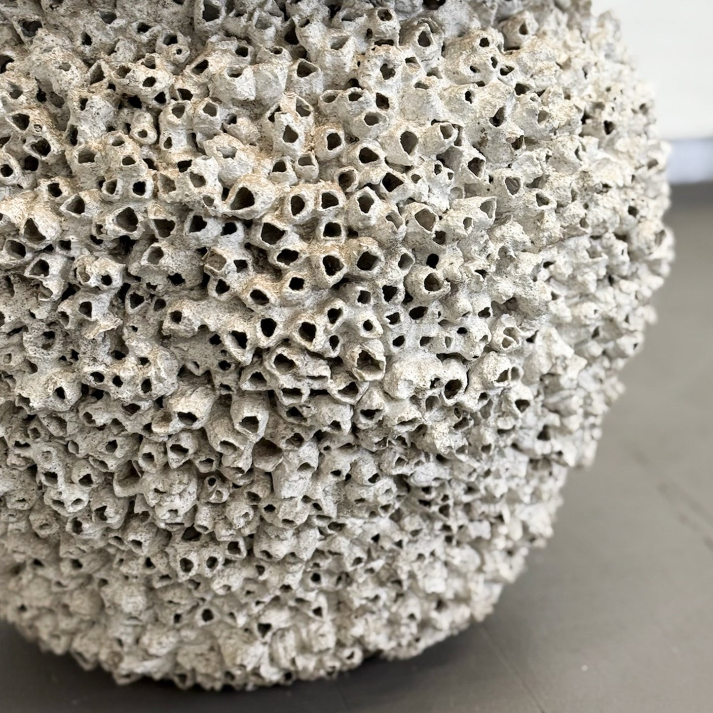 A gray lipped barnacle pot with a textured surface, displayed against a neutral background.