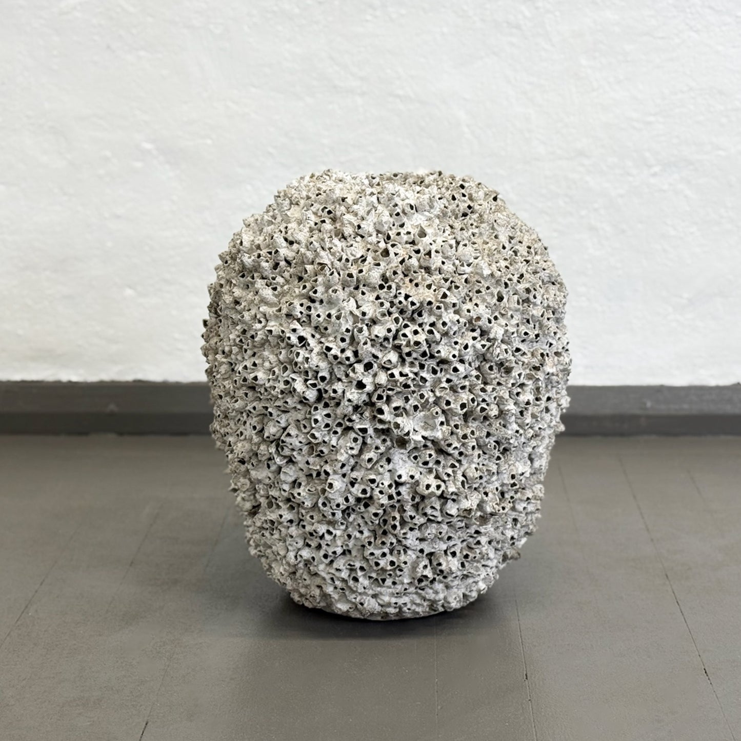 Barnacle Jar Pot