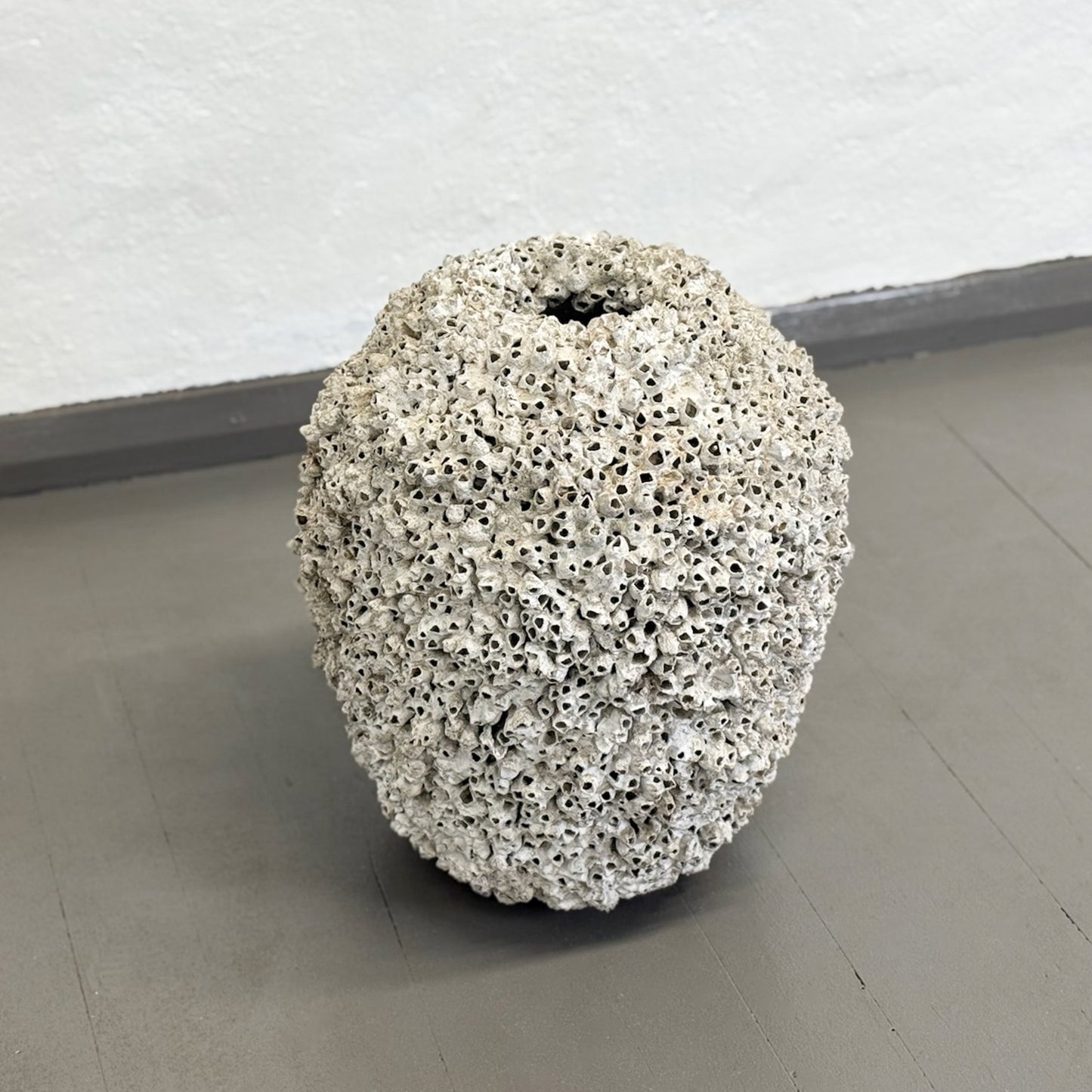 Barnacle Jar Pot