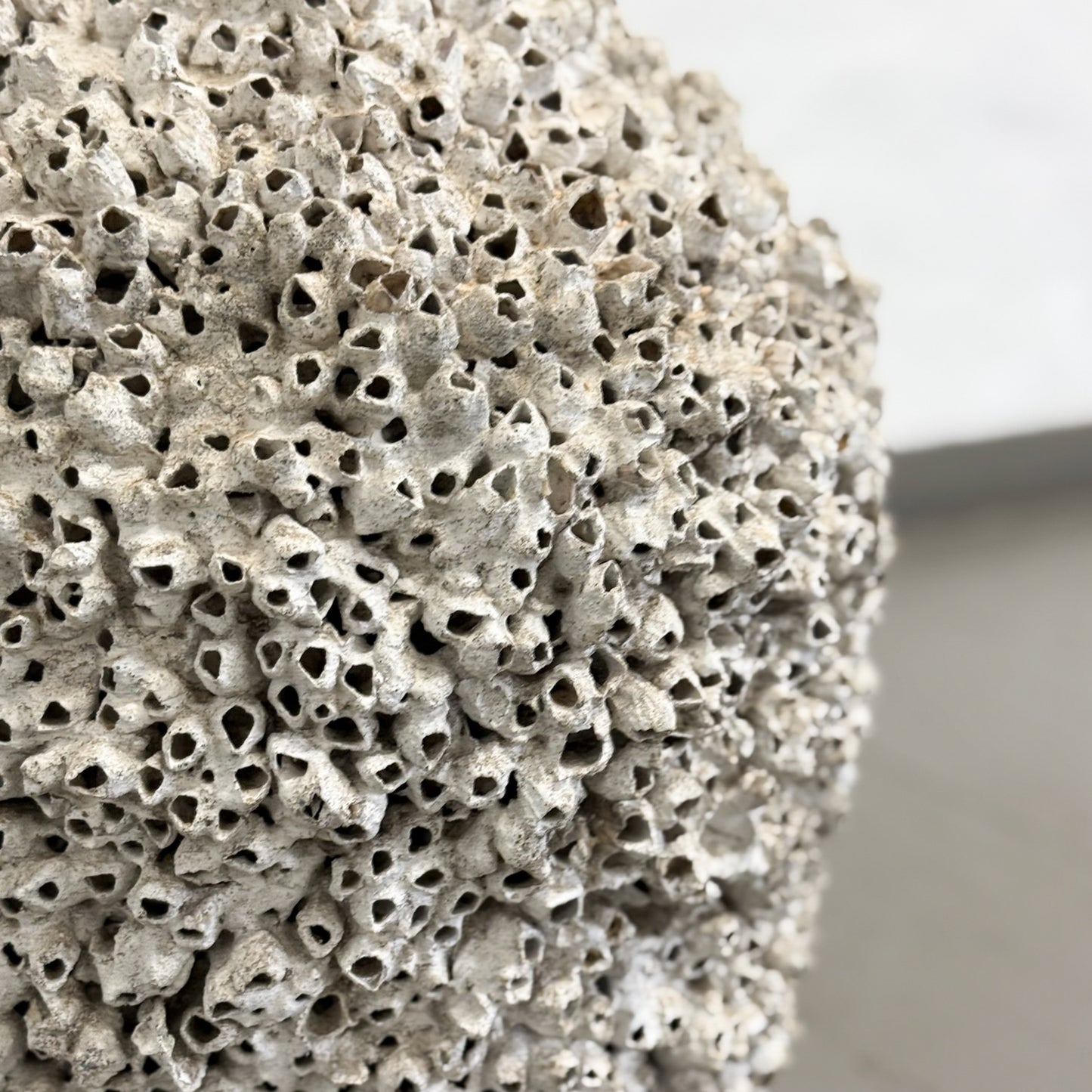 Barnacle Jar Pot
