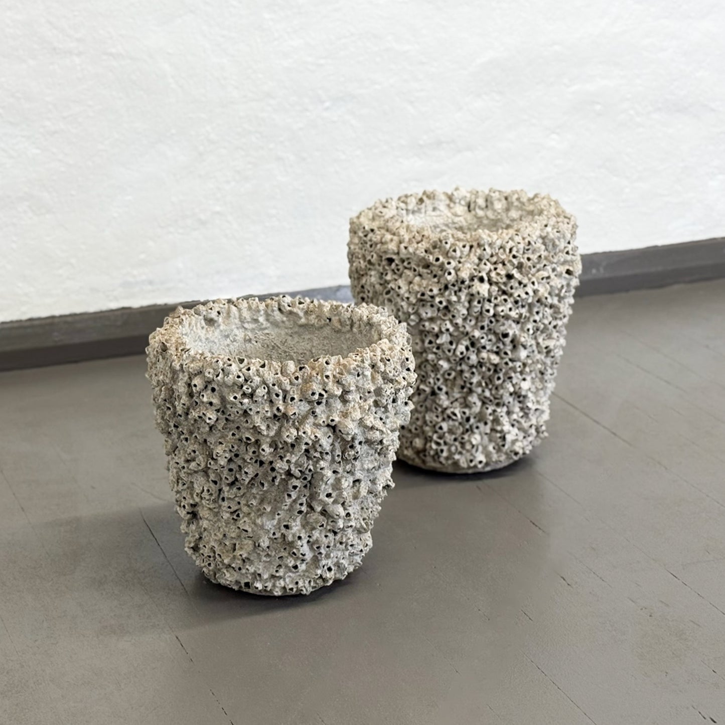 Tapered Barnacle Pot