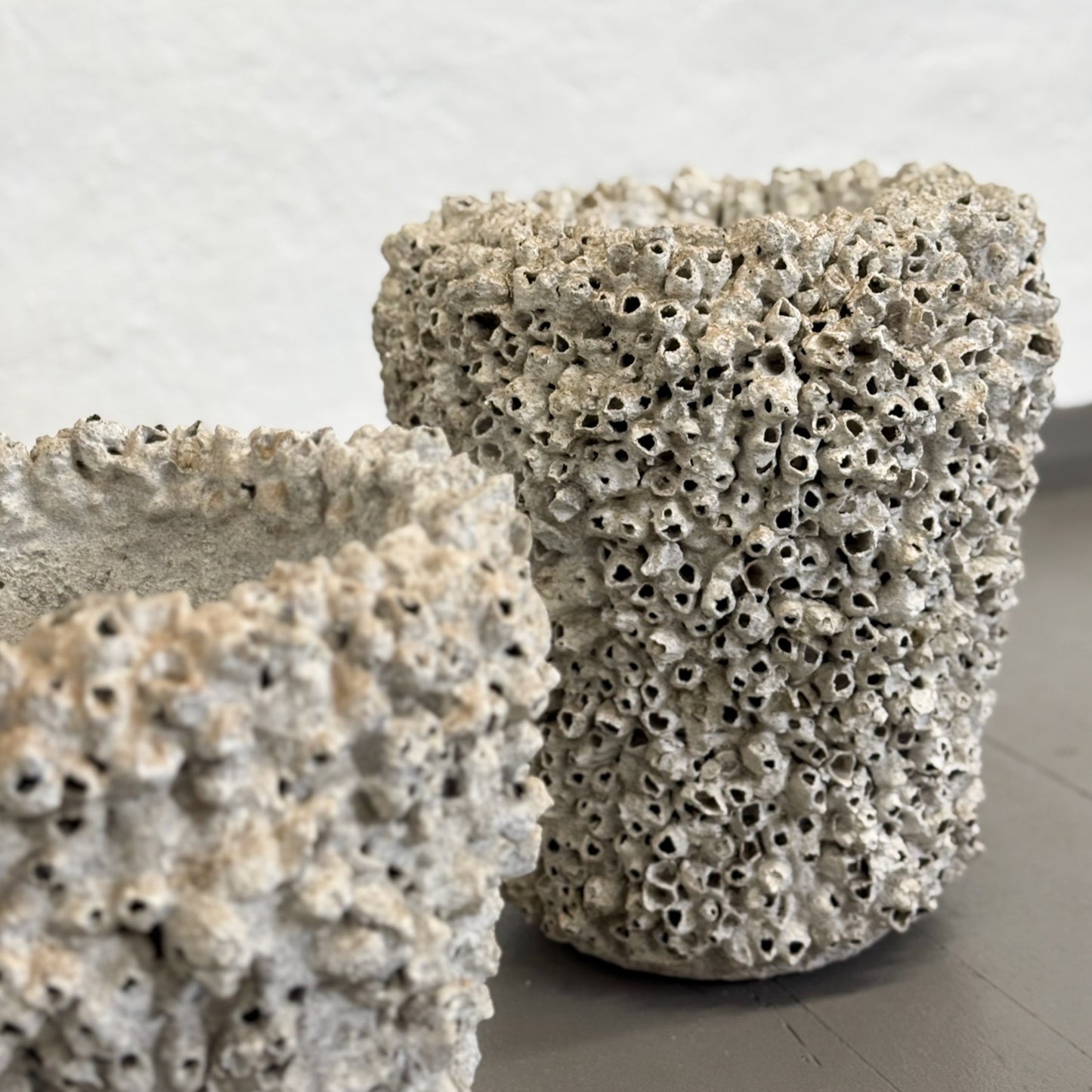 Tapered Barnacle Pot