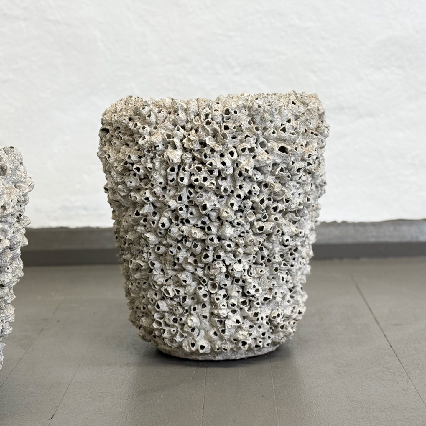 Tapered Barnacle Pot