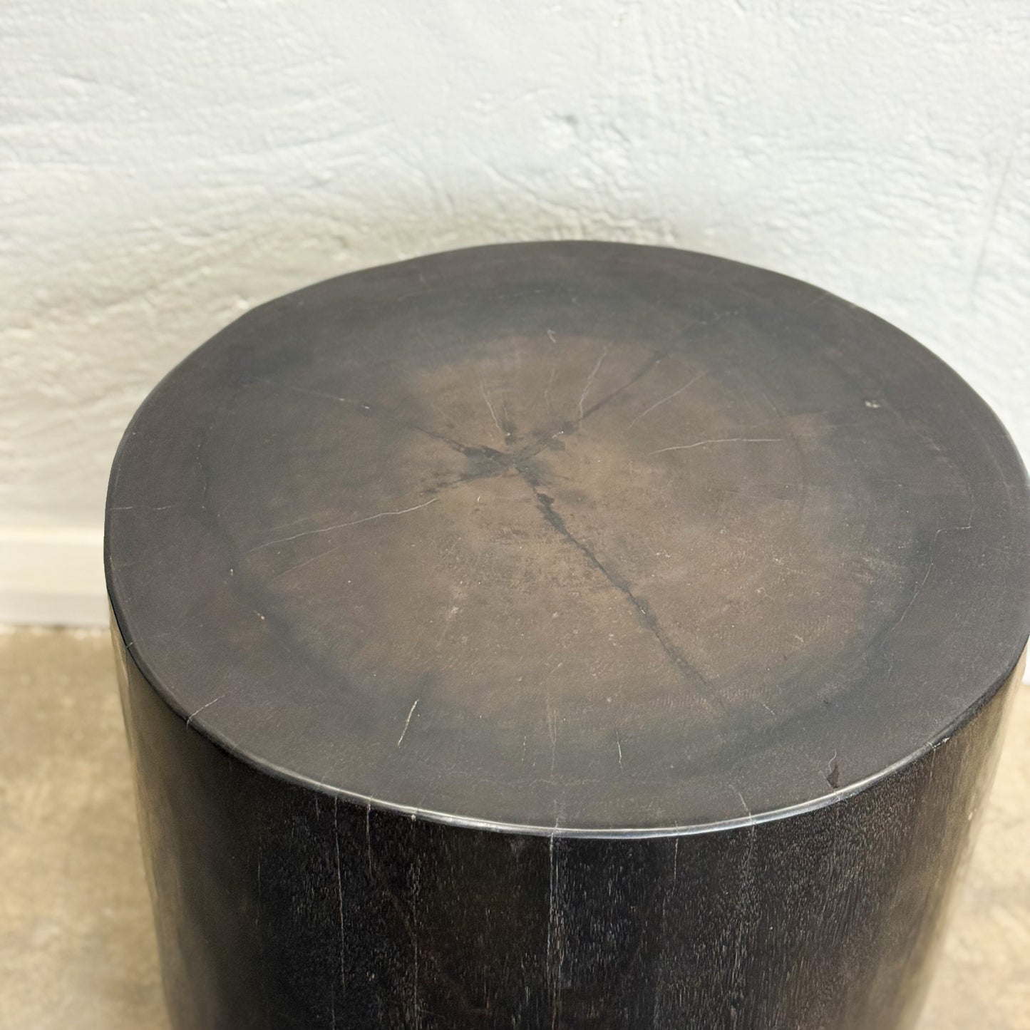 Petrified Wood Stool I