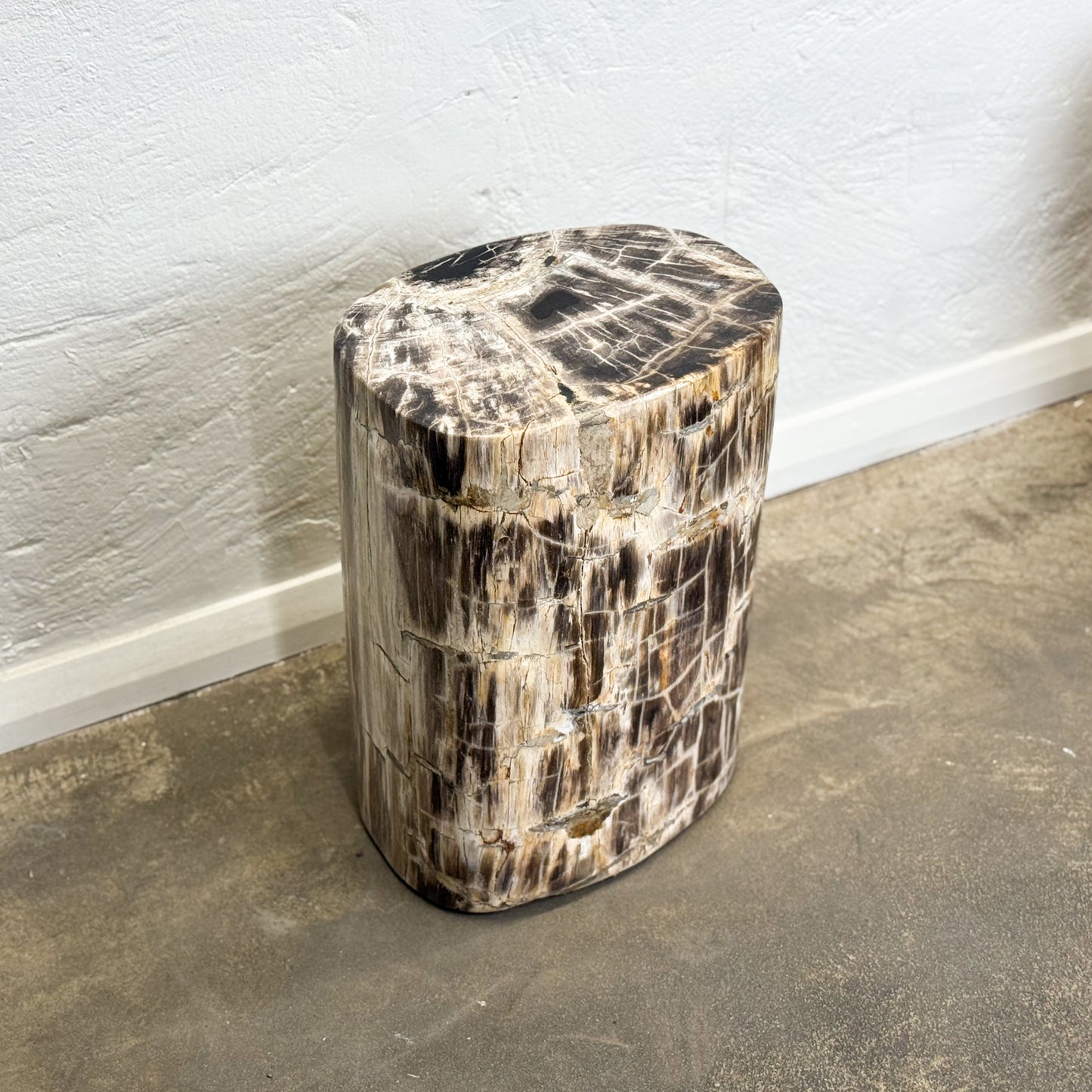Petrified Wood Stool II