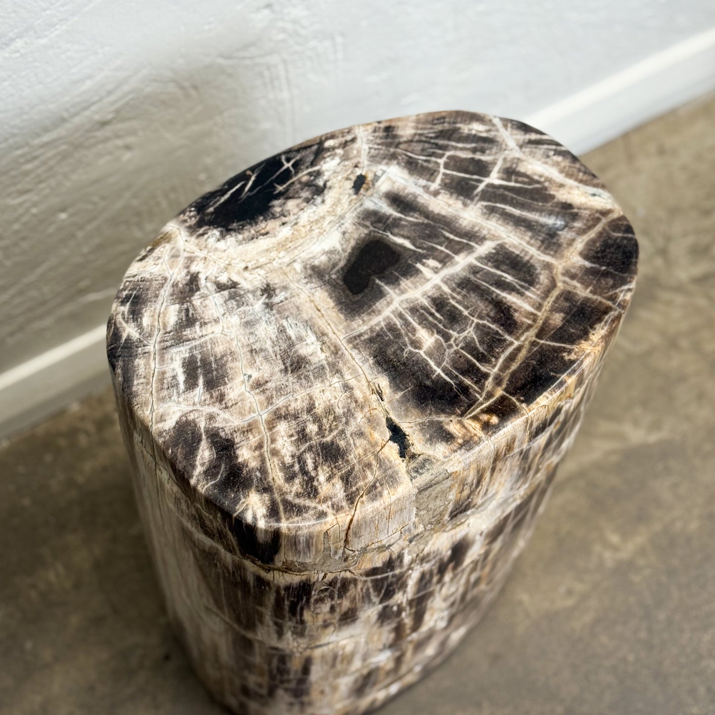 Petrified Wood Stool II