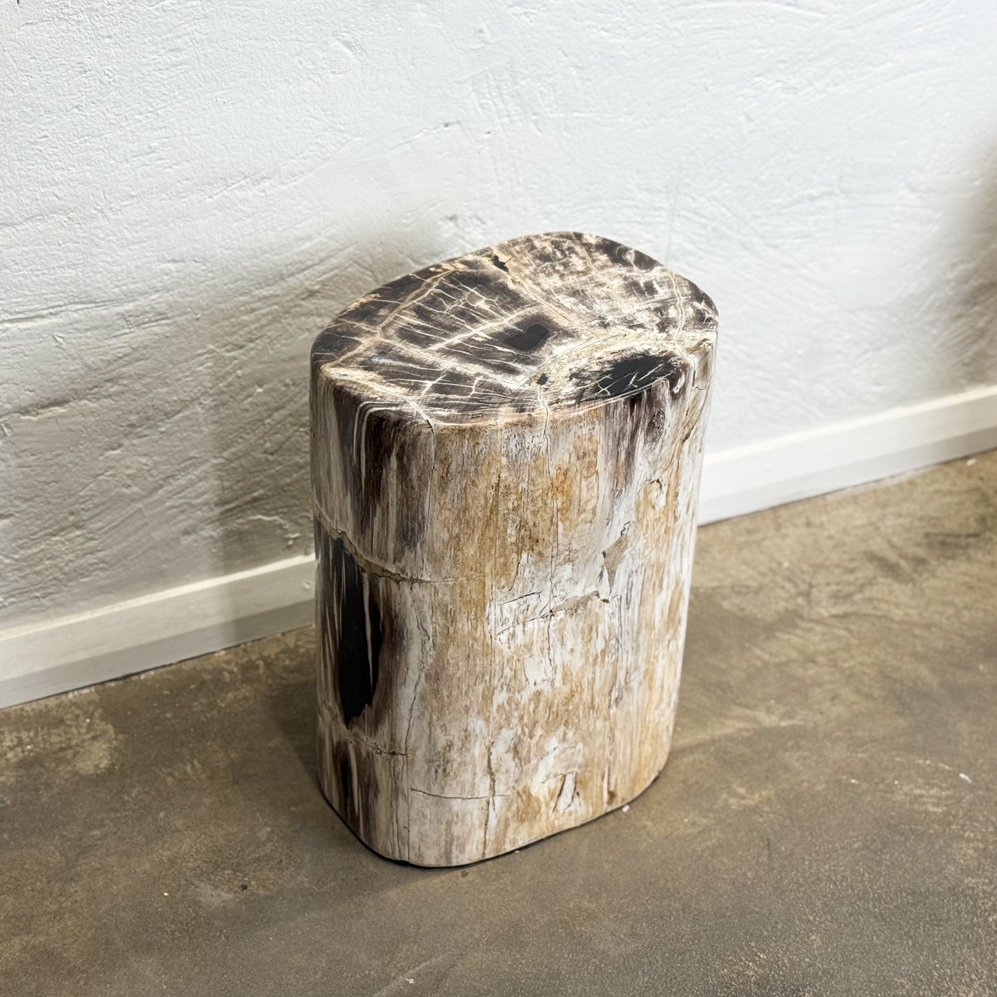 Petrified Wood Stool II