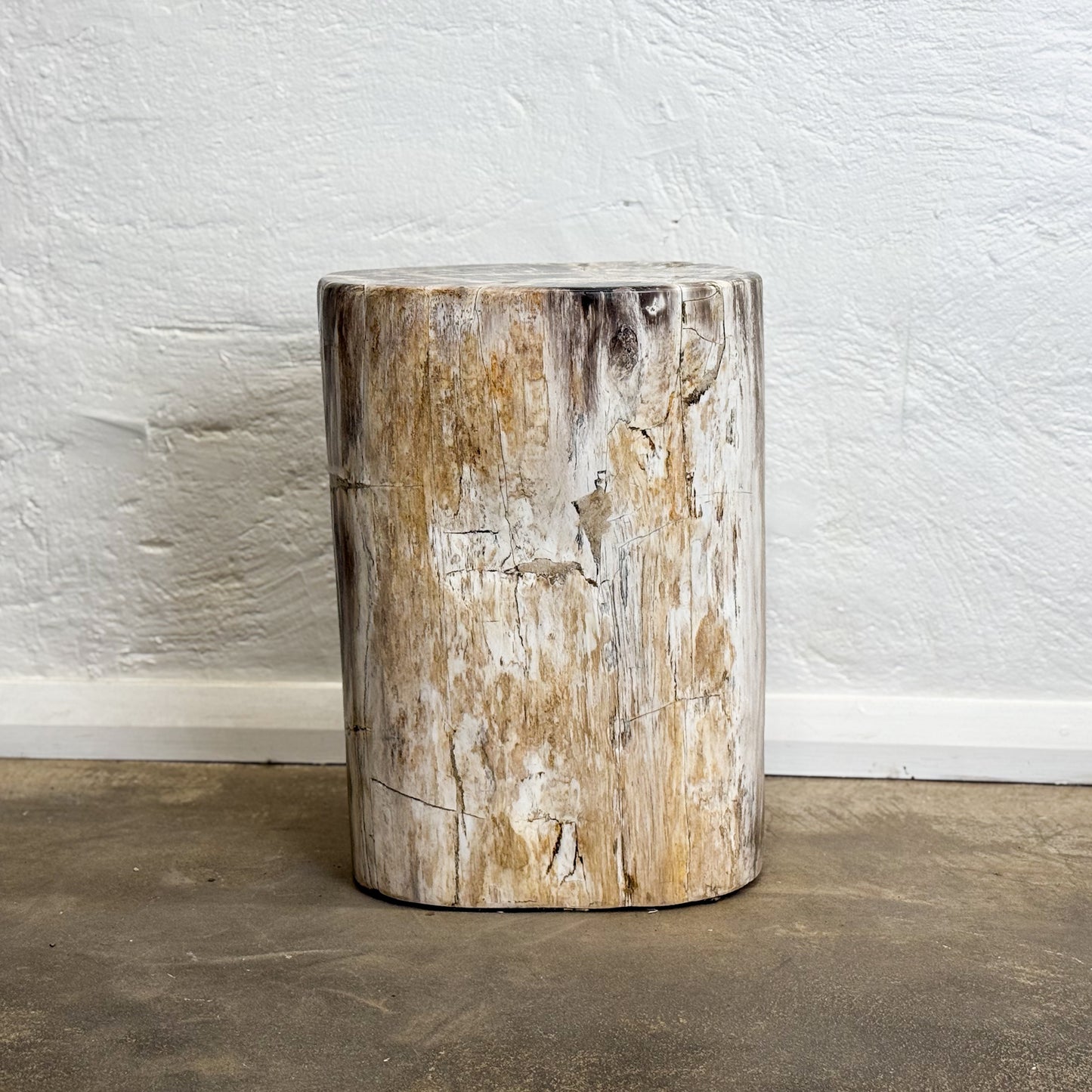 Petrified Wood Stool II