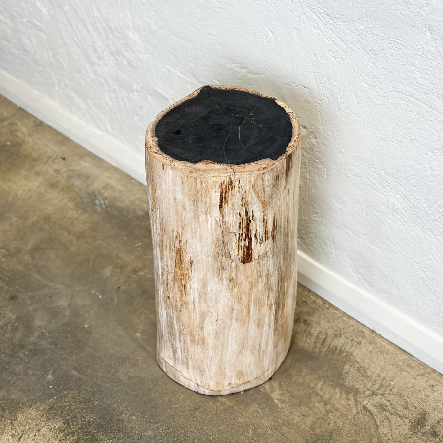 Petrified Wood Stool III