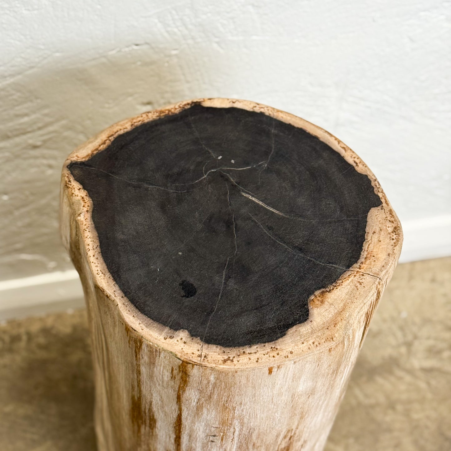 Petrified Wood Stool III