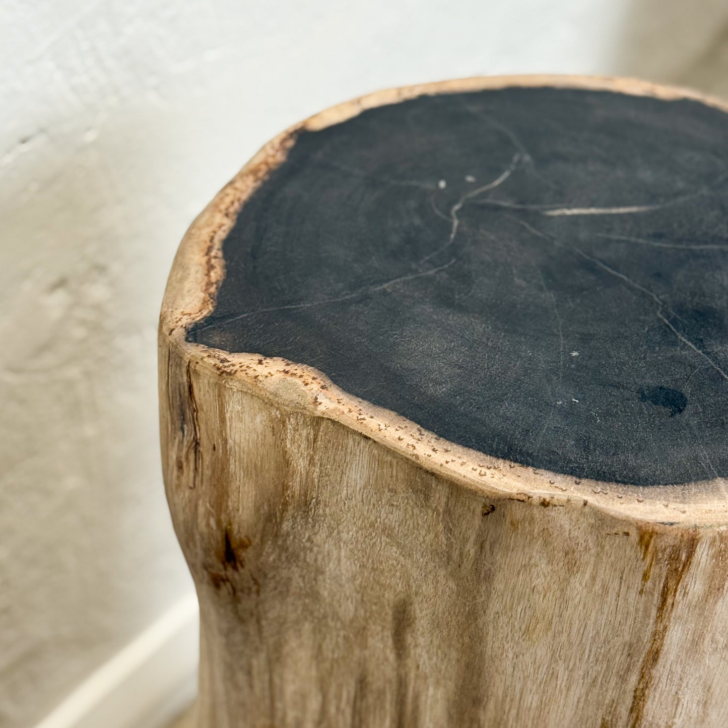 Petrified Wood Stool III