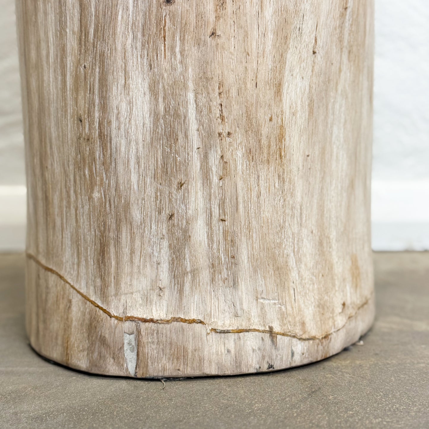 Petrified Wood Stool III