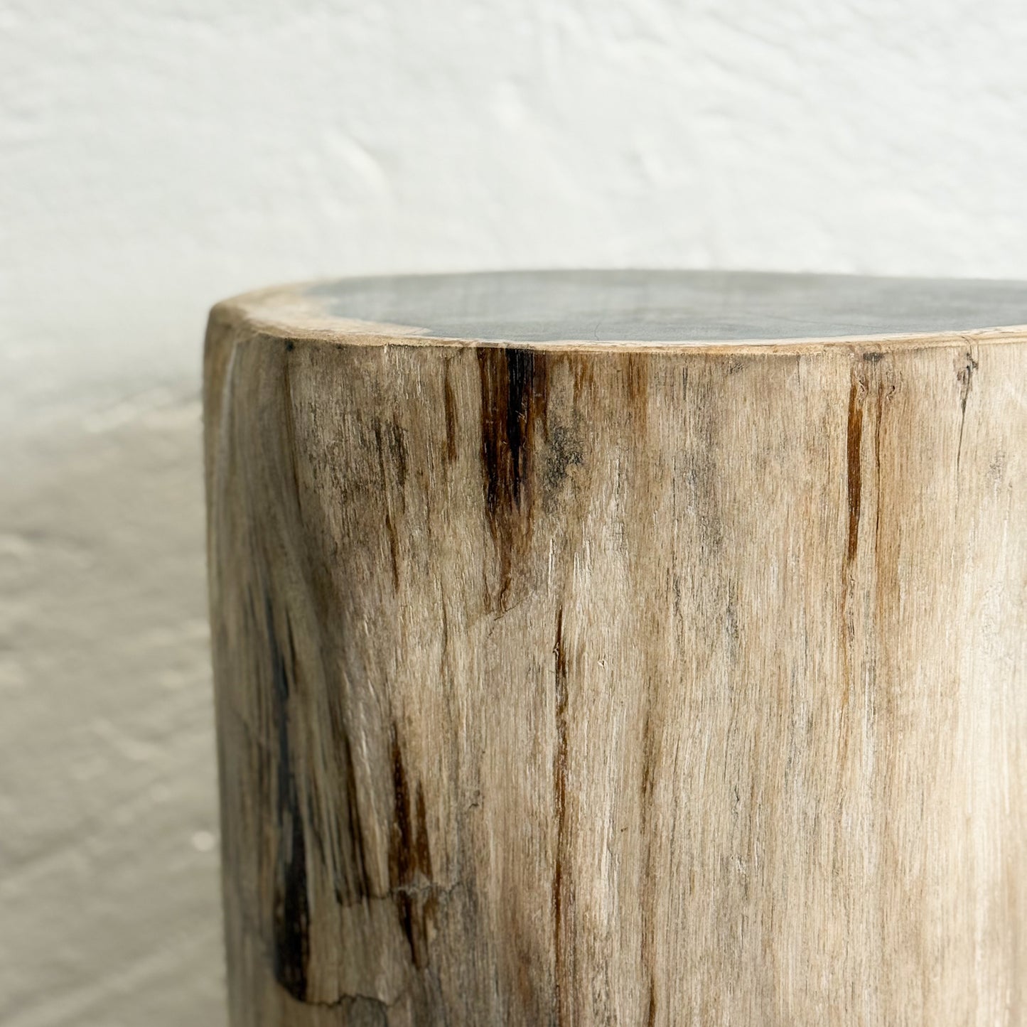 Petrified Wood Stool III