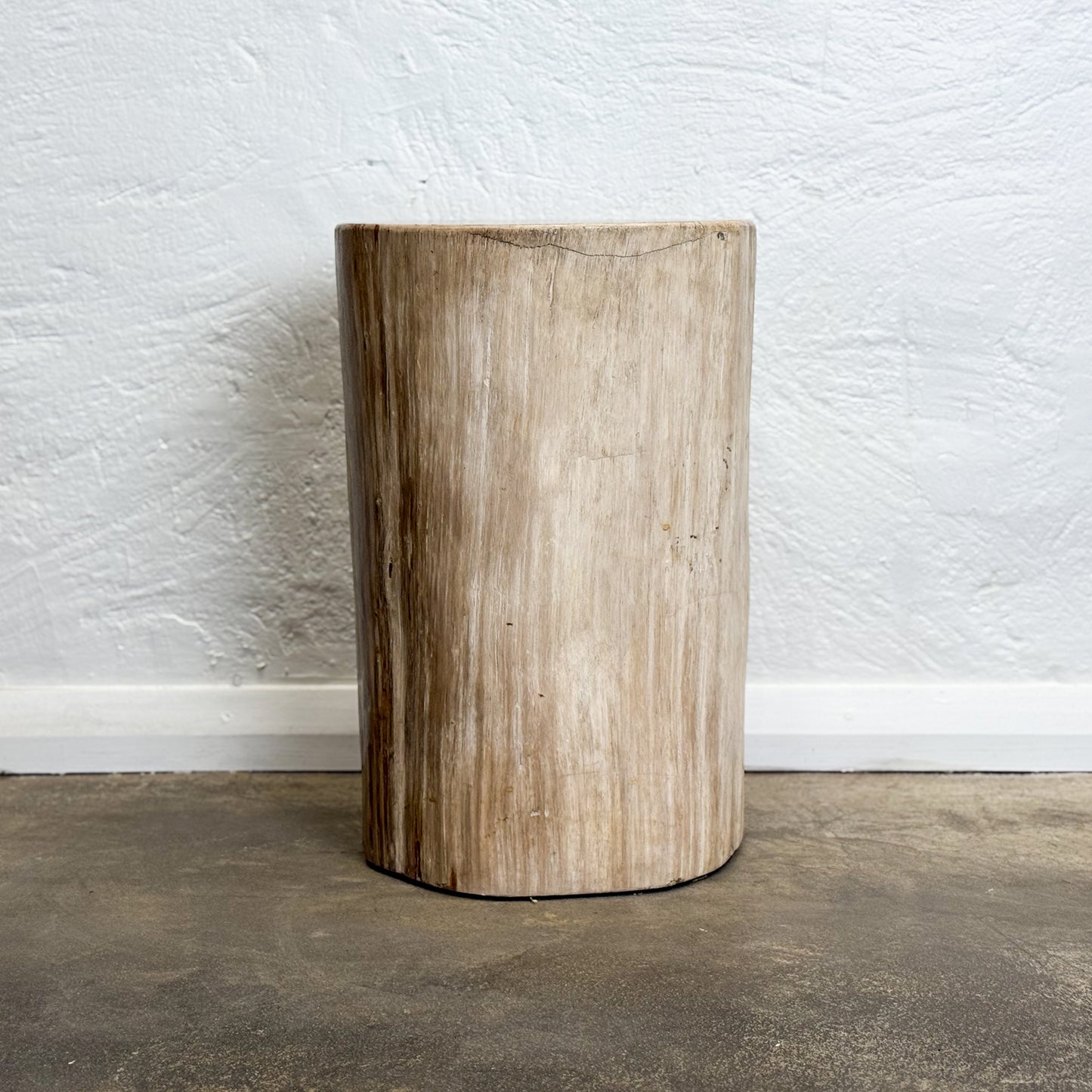 Petrified Wood Stool IV