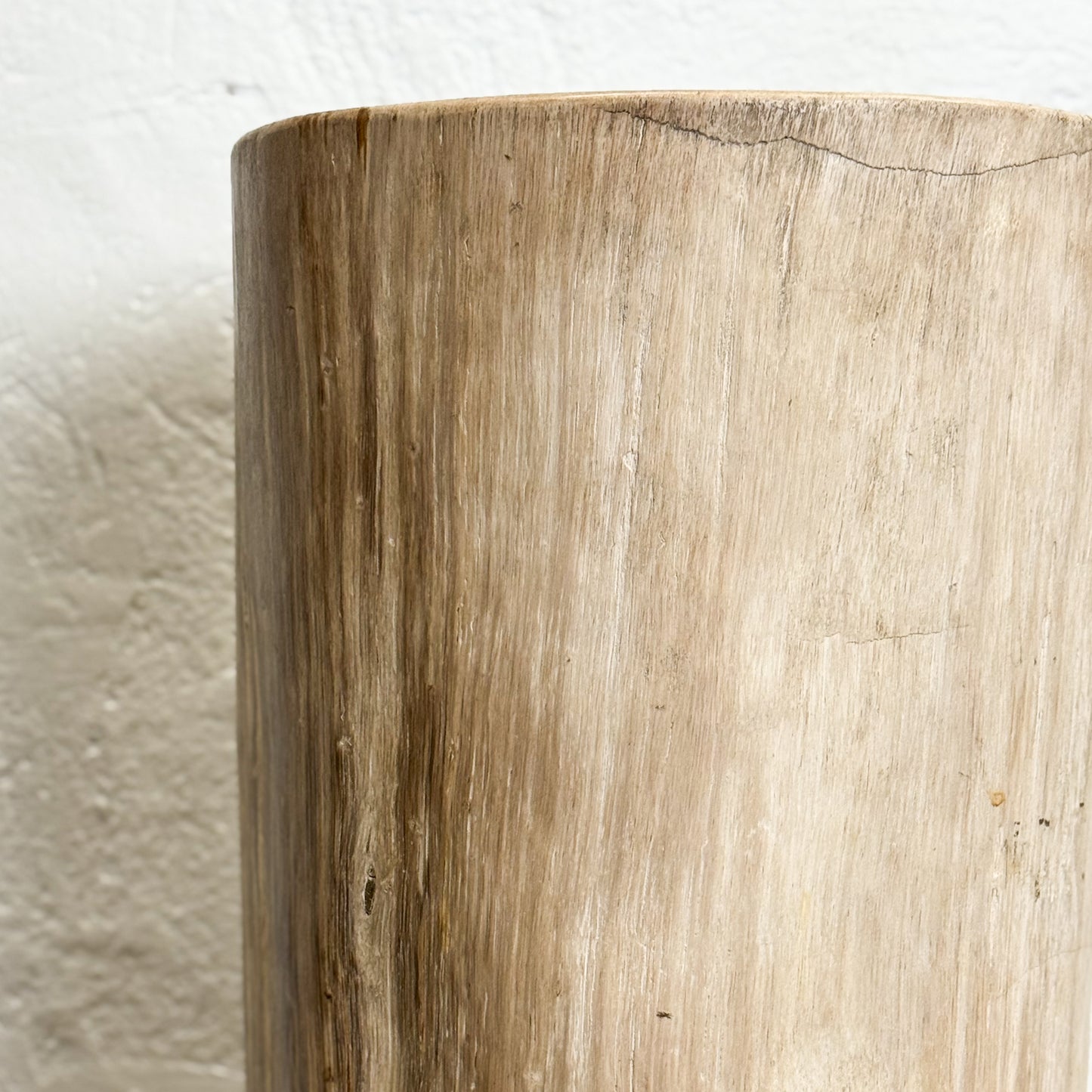 Petrified Wood Stool IV