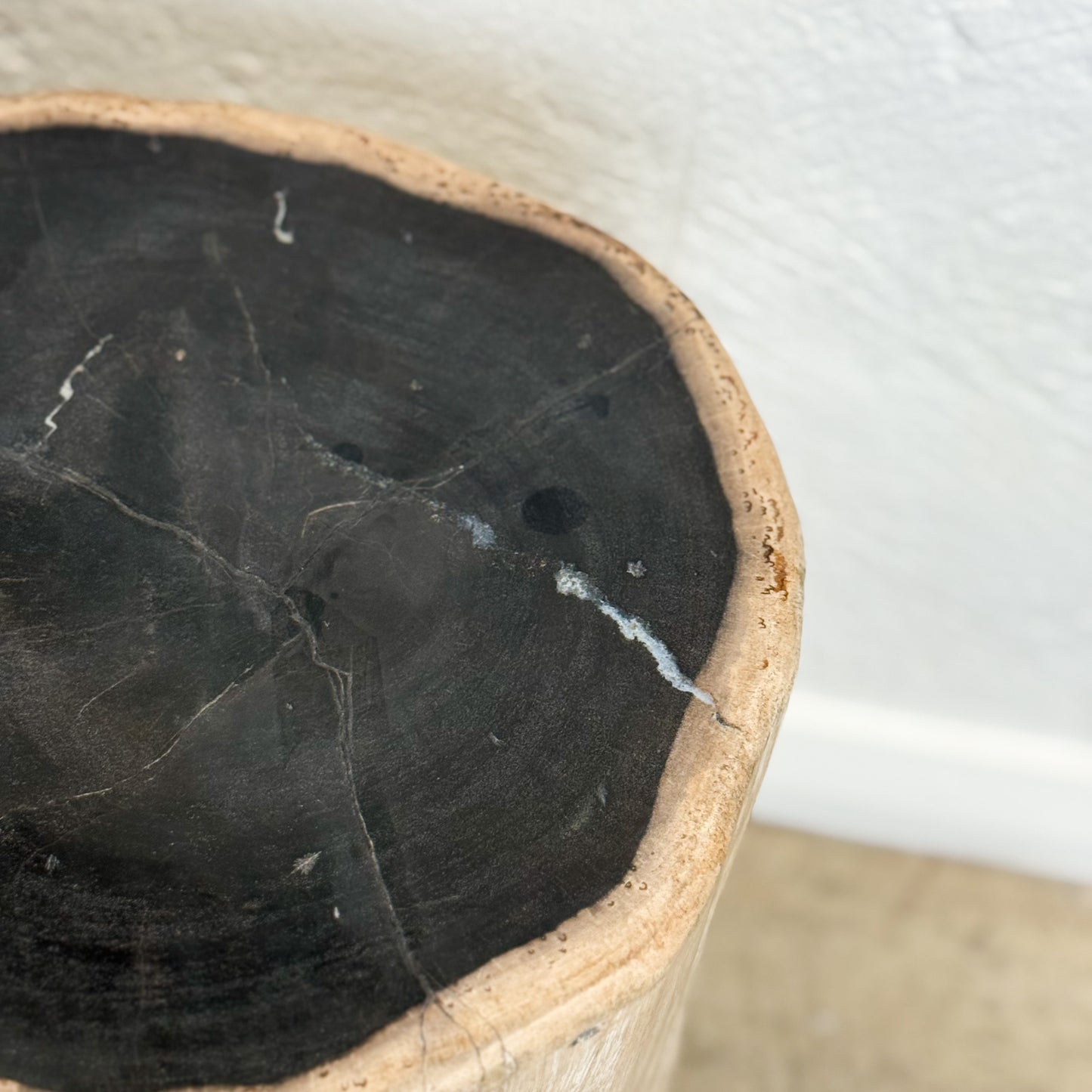 Petrified Wood Stool IV
