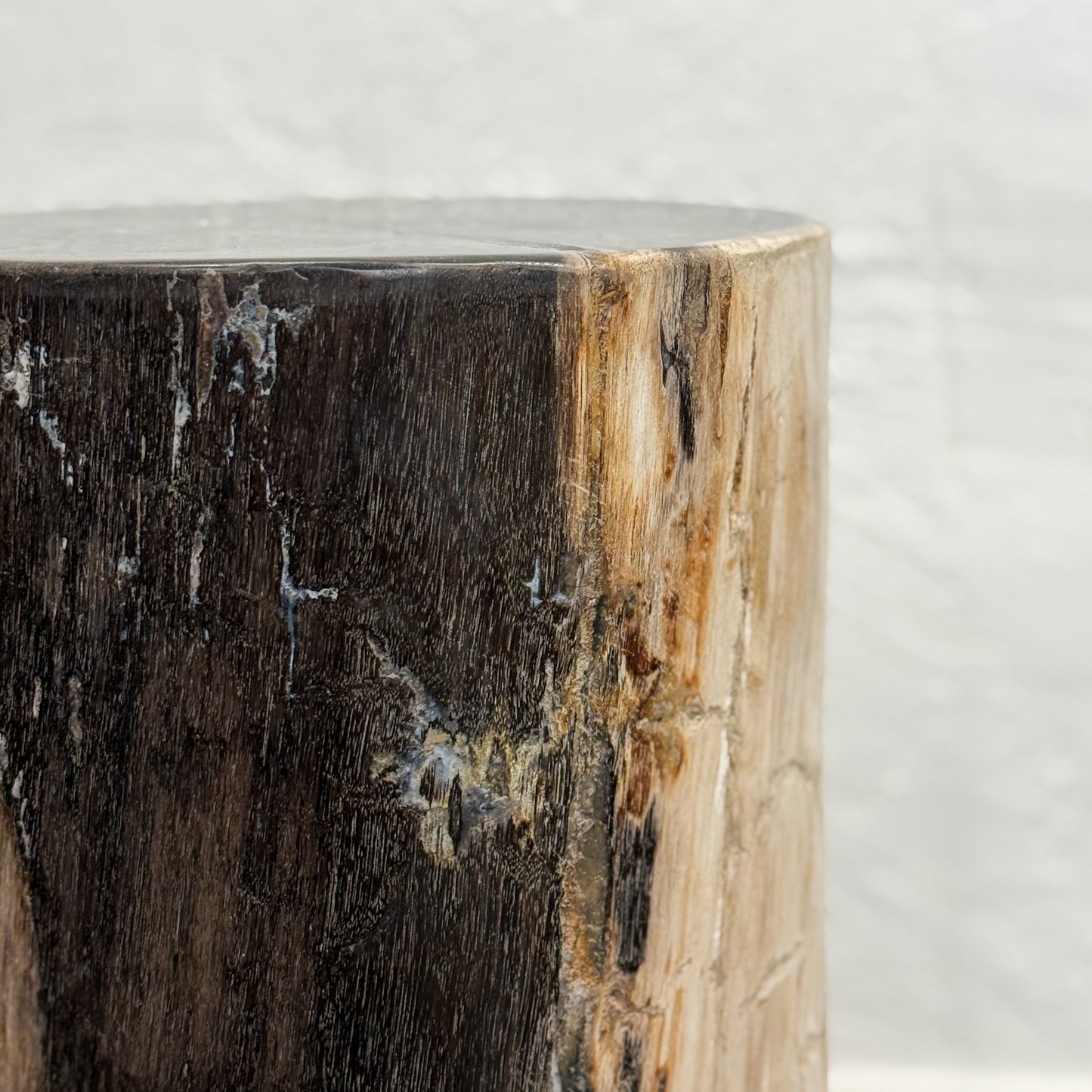 Petrified Wood Stool VII