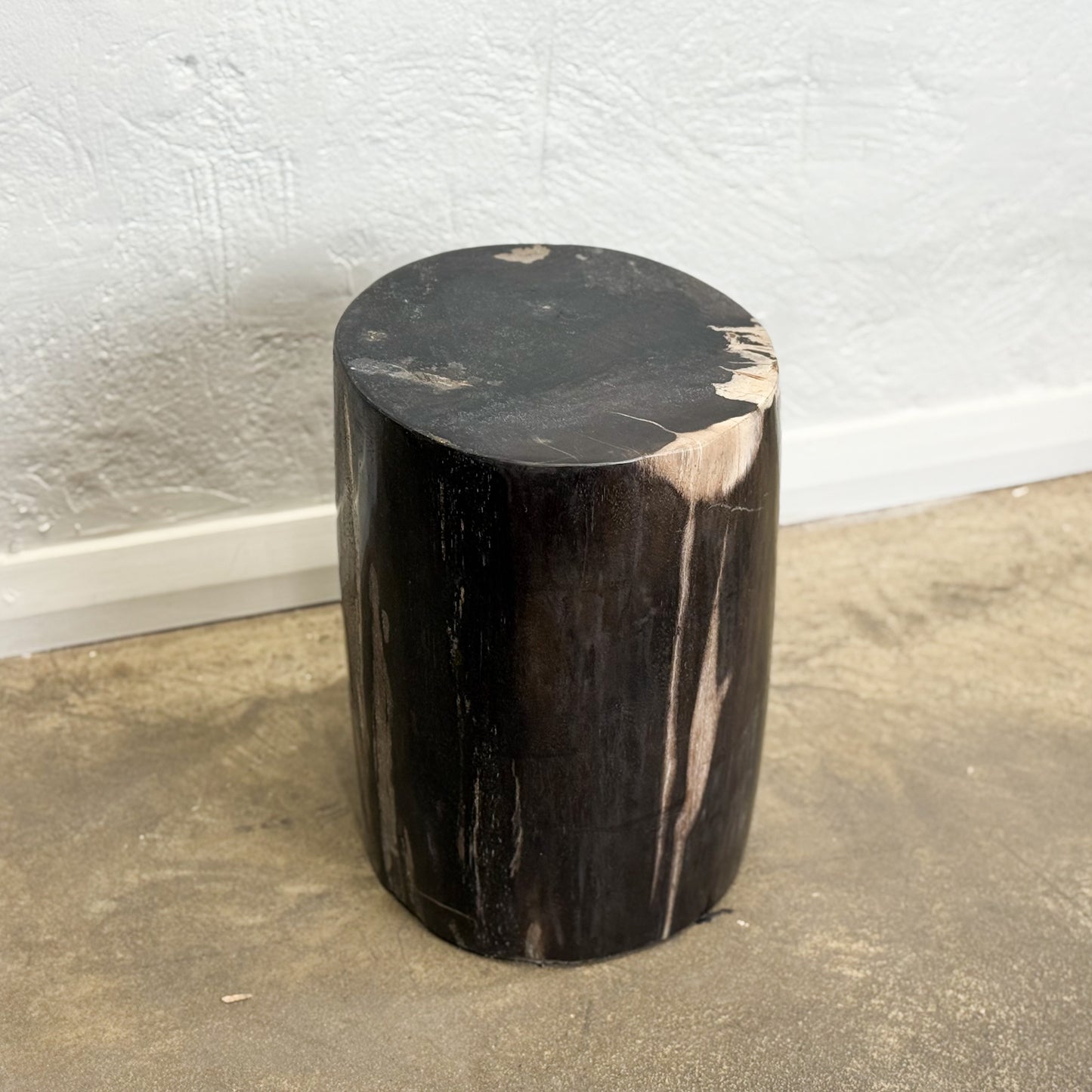 Petrified Wood Stool VII